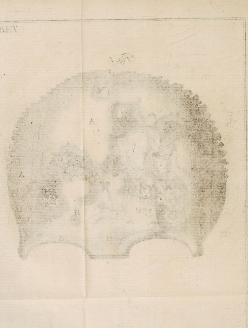 < . V ■> > v r. V s' A ■ V .\J i V . t r- *• *'4'' •:: X/ > i • - • - »- r - .'^ri • . .-•.•> rr -5 >: ,'4.; «v /~ -v ■ •• *v 'V t •■ V: ^ ■;■'' •«#/ T • * ■ gr yr * * <-T- •. •;*■ -r * f V^ iT, v* •■-v-!*' V-'-* V. . •■ ■ v. .Vv'- . > -•4 '•« . i. • .. vs ■V* fe :, < .>V k Hr> b ■ ' ° • • >* - • ’*W * ~ > • ' .* ■ . . **- • * S-V- /- V;;.. /■ * * o » S» t* • jT < *■ *v£'.' . ' •' .vte- * * . ... • •»/ '* ■ ’ '•* ,r‘' + • *> • .*••' t*' * yr r • ...,- N^.T ' ■V.r' t •*• _? V •S* < T.: \ ‘ • ;./ v v .r n. ’ ••••• n : .v » ' V--. ' w '•'* •• - Vv^y ■ -i ■ Sv- . *.*• ‘i- .. < •- ■ '--- -... ■ . >• • ■ -'s* . ■■ • *> • • ' f * •*. T*T> '.-•V •/  ^vy *.. •■ -V* «w- . -f- r f. > ~ .. .. ' j ;* ;■ u • \r :r c/> • ■ itf * • •• ^ -v • •• V • ■ » * i i ** tf*-- • ?*v 'r • • r- - A> -*»■'*,- , 't* < ‘ v »•». * • V •; !! ! f «» :t ! ! I ; ii