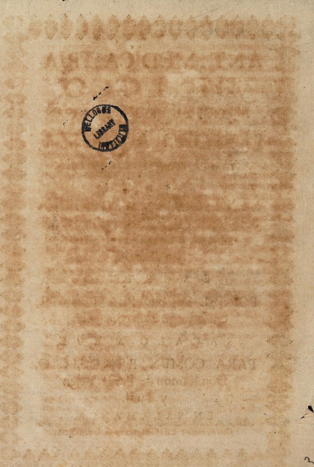 digitised image 2