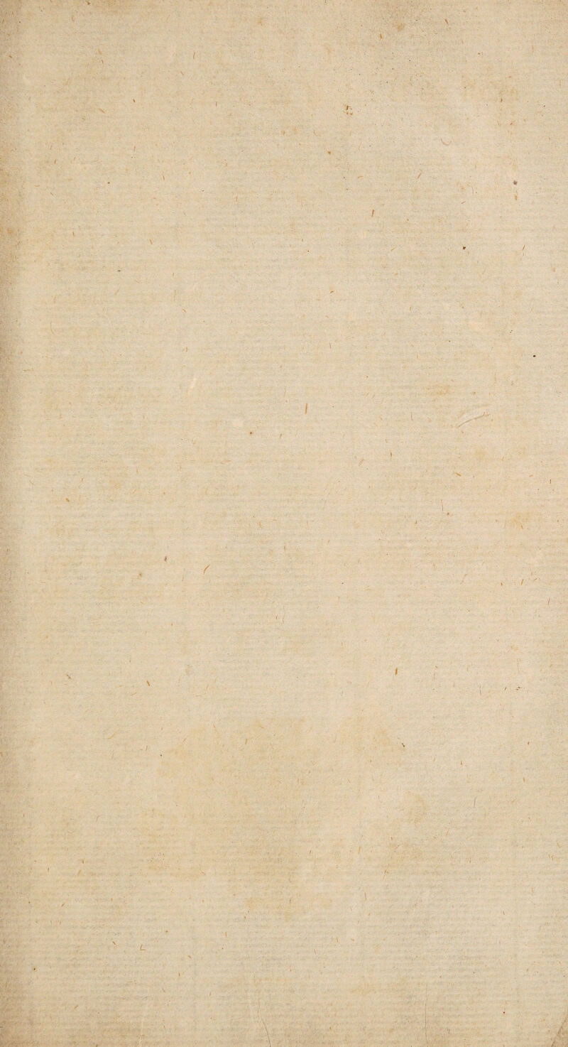 ■ V r ■' ( V \ y » )P' \ ; \y ’ it / t I l v.\ V v' ■ v ■ S ' -- > \ . \ n v -V !■■■