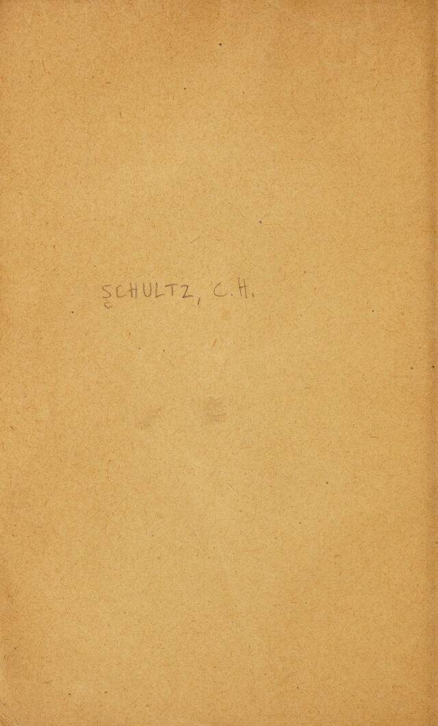 digitised image 2