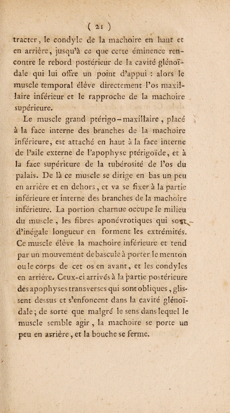 ( ) tracter, îe condyle de îa maclioire en haut et en arrière, jusqu’à ce que cette éminence ren¬ contre ie rebord postérieur de îa cavité glénoï- dale qui lui offre un point d’appui : alors îe muscle temporal élève directement Pos maxil¬ laire inférieur et le rapproche de la mâchoire supérieure. Le muscle grand ptérigo-maxillaire , placé à la face interne des branches de la mâchoire inférieure, est attaché en haut à la face interne I de Paile externe de l’apophyse ptérigoïde, et à la face supérieure de îa tubérosité de Pos du palais. De là ce muscle se dirige en bas un peu en arrière et en dehors, et va se fixer à îa partie inférieure et interne des branches de îa mâchoire inférieure. La portion charnue occupe le milieu du muscle , les fibres aponévrotiques qui soft^-^ d’inégale longueur en forment les extrémités. Ce muscle élève îa mâchoire inférieure et tend par un mouvement de bascule à porter le menton ouïe corps de cet os en avant, et les condyles en arrière. Ceux-ci arrivés à la pàrtie postérieure des apophyses trans verses qui sont obliques, glis¬ sent dessus et s’enfoncent dans la cavité gîénoï- dale ; de sorte que malgré le sens dans lequel le muscle semble agir , îa mâchoire se porte un peu en amère, et îa bouche se ferme.
