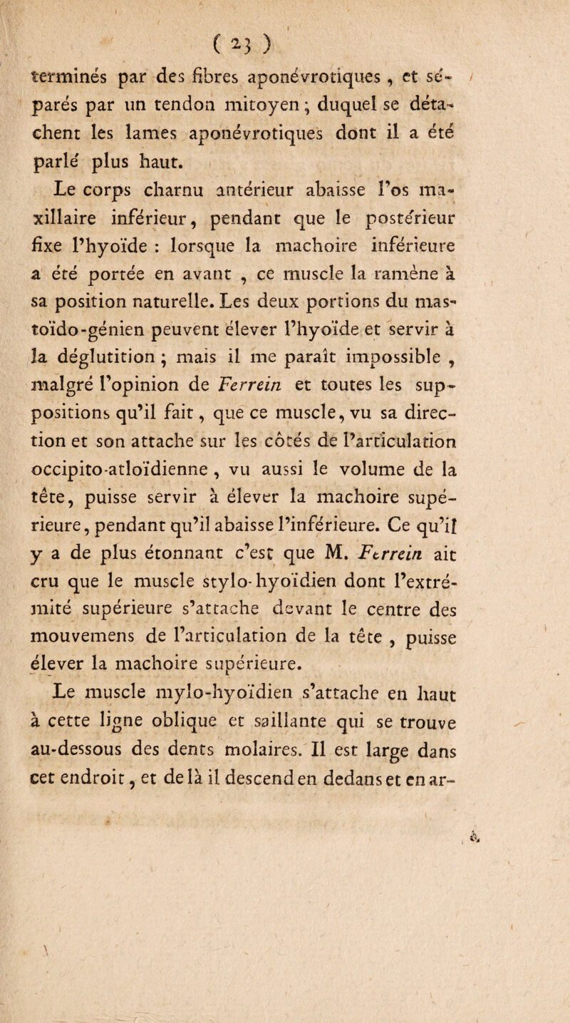 ( ^3 ) terminés par des fibres aponévrotiques, et sé- / parés par un tendon mitoyen ; duquel se déta¬ chent les lames aponévrotiques dont il a été parle' plus haut. Le corps charnu antérieur abaisse l’os ma¬ xillaire inférieur, pendant que le postérieur fixe l’hyoïde : lorsque la mâchoire inférieure a été portée en avant , ce muscle la ramène à sa position naturelle. Les deux portions du mas- toïdo-génien peuvent élever l’hyoïde et servir à la déglutition ; mais il me paraît impossible , malgré l’opinion de Ferrcin et toutes les sup¬ positions qu’il fait, que ce muscle, vu sa direc¬ tion et son attache sur les côtés de l’articulation occipito-atloïdienne , vu aussi le volume de la tête, puisse servir à élever la mâchoire supé¬ rieure, pendant qu’il abaisse l’inférieure. Ce qu’il y a de plus étonnant c’est que M. Ftrrein ait cru que le muscle stylo* hyoïdien dont l’extré- jnité supérieure s’attache devant le centre des mouvemens de l’articulation de la tête , puisse élever la mâchoire supérieure. Le muscle mylo-hyoïdien s’attache en haut à cette ligne oblique et saillante qui se trouve au-dessous des dents molaires. Il est large dans cet endroit, et de là il descend en dedans et en ar-