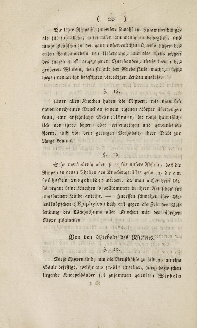 5Me U%tt Klippe ift itweifen fomof){ im Sufammenhange, nlö ftU* ficf) allein, unter allen am roenigfren beweglich, mit) macf)t gletchfant &u ben ganz unbeweglichen £luerf'ortfa|en bc& crjten Senbenmitbelö ben Uebcrgang, unb bie-s the’ite wegen beö linken (Itraff angezogenen Cluerbanbeo, t^eilö wegen beä* größeren SBinfefö, ben. fie mit ber SBirbelf&nle macht, tf)eil$ wegen beö an ihr befejltgten viereckigen Senbenmusfels. §. iS. Unter alfen .fnochen haben bie SUppen, wie man ftd) baron burch einen Swuef an feinem eigenen Körper überzeugen laun, eine anfef)nlid)e @djneUfra.ft, bie wof)l Hauptfach lief) von il)rer bogen* ober reifenartigen unb gemunbenen $orm, unb von bem geringen ^3er^dltniü ihrer £>icfe zur Sänge fommt. • = l v ■' ■ ' ■' ■ •! • * »' : - > ;:<i' ■» u? §. 19- 0ehr merfwärbig aber ifl es für nufere 2l‘b ft djt, baß bie Klippen zu benen ^he^en bev äviiochengerufleß gehören, bie am früheften ausgebübet werben, ba man aujjetr bem @e* hörorgane feine Knochen fo voflfommen in ihrer 2trt fcf)on im ungebornen $inbe antrifft. — 3ubeflen fchmeljeu ihre' @e/ lenffnbpfchen (Epiphyfes) boef) crfl gegen bie Seit ber Sol* lenbung beer Sachöthums aller Knochen mir ber übrigen Klippe jufammen. - ' * ■ i * «* • •• ) ■ • i ii *■^u>»1 '•> SSon ben £6ir6efnnbe:& 3ftufen6* ; * * ’ H > §. 20, i * s.i, 0?'/. £>iefe Rippen ftnb, um bte SBrru^h&h^ 5« bilben, an eine eäule befefligt, welche aus zn>5lf einzelnen, burcf) bazwifchen liegende ^norpelbanber fe(l jufammen gclenften Wirbeln