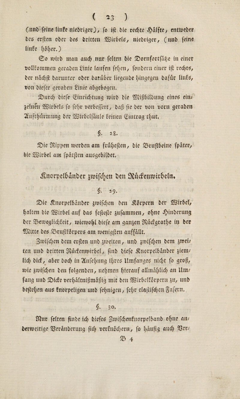 (tmb feine Hufe niebriger)/ fo tfc bte rechte Jg>dfftc, entiveber bcs erfreu ober bes brieten S03ir6el$, niebriger, (unb feine liufe fybfyev,) 0o wirb man auch nur feiten Me ©ornfortfd|c in einer twllfommen geraben finie laufen feljett, foubern einer ift rechts, ber ndchft barunter ober batüßer fiegeube hingegen bafur linfs, von biefer geraten £inie aßge&ogcn. 5Durci) biefe Einrichtung wirb bie SDZifbilbtmg eines eitu Seinen SBir&els fo fei>r verbefjert, baf fte ber von vorn gefaben 2fufti)tinmmg ber SBir&elfäule feinen Eintrag tf;ut. §. 2 g. ©ie Stippen werben am früheren, bie S5r«ff&eine fpdter, bie SBirßei am fpdtfren ausgebilbet ^norpel6änfc>er ben JMcfennur&eltt« $. *9- 5Die $norpef6dnber ^mtfe^en ben Körpern ber SBirßef, Raiten bie SSirßei auf bas fefrejte sufammen, ohne ^tnberung ber 55 ew eg (ich?eit, wiewohl biefe am ganzen Stucfgrathe itt ber fOtitte bes 55rttftförpers am wemgfteu auffdilt Swifci;en bem erfreu unb sweiten, uub sroifchen bem swei/ ten unb brttten Stucfenwirßel, finb biefe ^norpel&dnber jiettu lieh Mcf, aber bod) in 2Cnfehttng ihres Umfanges nicht fo grof, wie jwifchen ben folgenben, nehmen hierauf allmählich an llnv fang unb 5Dicfe Verhältnismdfjtg mit ben 5$Ur&clf5rpern j$u, uub bejlchen aus fnorpeiigen uub fehnigen, fchr elajlifchen §afmn, §> so, Shtr feiten jünbe ich biefes Swifcheufnorpeißanb ohne atu berweitige 5öerdnberitng ftd) vetfudehern, fo ^duftg auch 33 er; 55 4