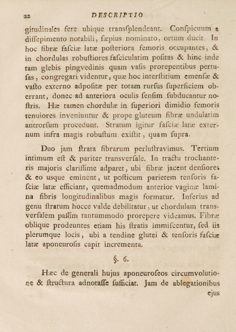 gitudinalcs fere ubique transfplendeant. Confpicnum a. diffepimento notabili, faepius nominato, ortum ducit. In hoc fibrae fafciae latae pofteriora femoris occupantes, & in chordulas robuftiores fafciculatim pofitas & hinc inde ram glebis pingvedinis quam vafis prorepentibus pertu- fas , congregari videntur, quae hoc interflitium emenfae & vafto externo adpolitae per totam rurfus fuperficiem ob¬ errant, donec ad anteriora oculis fenfim fubducantur no- ftris. Hae tamen chordulae in fuperiori dimidio femoris tenuiores inveniuntur & prope gluteum fibrae undulatim aritrorfum procedunt. Stratum igitur fafciae latae exter¬ num infra magis robuftum exiflit, quam fupra. Duo jam flrata fibrarum perluflravimus. Tertium intimum eft & pariter transverfale. In tra£lu trochante¬ ris majoris clariflime adparet, ubi fibrae jacent denfiores & eo usque eminent, ut pollicum parietem tenforis fa¬ fciae latae efficiant, quemadmodum anterior vaginae lami¬ na fibris longitudinalibus ma^is formatur. Inferius ad genu liratum hocce valde debilitatur, ut chordulam trans- verfalem paffim tantummodo prorepere videamus. Fibrae oblique prodeuntes etiam his liratis immifeentur, fed iis plerumque locis, ubi a tendine glutei & tenforis fafciae latae aponeurofis capit incrementa. §. 6. • Haec de generali hujus aponeurofeos circumvolutio¬ ne & ftruftura adnotaffe fufficiat. Jam de ablegationibus ejus