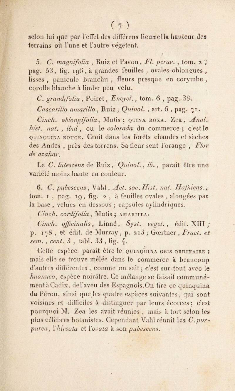 selon lui que par l’effet des différens lieux et la hauteur des terrains où l’une et l’autre végètent. 5. C. magnifolia , Ruiz et Pavon, FL peruv. , tom. 2 pag. 53 , fig. 196, à grandes feuilles , ovales-oblongues , lisses , panicule branchu , fleurs presque en corymbe , corolle blanche à limbe peu velu. C. grandifolia, Poiret, Encycl. , tom. 6 , pag. 38. Cascarillo amarillo , Puiiz , Qiànol. , art. 6 , pag. 71. Cinch. oblongifolia, Mutis ; quina roxa. Zea , Anal. hist. nat. , ibid, ou le colorada du commerce ; c’est le quinquina rouge. Croît dans les forêts chaudes et sèches des Andes , près des torrens. Sa fleur sent l’orange , Flor de azahar. Le C. lutescens de Ruiz, Quinol., ib., paraît être une variété moins haute en couleur. 6. C. puhescens , Valfl , Act. soc. Hist. nat. Hqfniens.; tom. 1 , pag. ic), fig. 2 , à feuilles ovales, alongées par la base , velues en dessous ; capsules cylindriques. Cinch. cordifolia, Mutis ; amarilla* Cinch. officinalis ? Linné, Syst. veget. , édit. XIII p. 178 , et édit, de Murray, p. si3 ; Gœrtner , Fract. et sein. , cent. 3 , tabl. 33 , fig. 4* V Cette espèce paraît être le quinquina gris ordinaire : mais elle se trouve mêlée dans te commerce à beaucoup d’autres différentes , comme on sait ; c’est sur-tout avec le huanuco, espèce noirâtre. Ce mélange se faisait communé¬ ment à Cadix, del’aveu des Espagnols.O11 tire ce quinquina du Pérou, ainsi que les quatre espèces suivantes, qui sont voisines et difficiles à distinguer par leurs écorces ; c’est pourquoi M. Zea les avait réunies , mais à tort selon les plus célèbres botanistes. Cependant Vahl réunit les C. pur- purea, Yhirsuta et Xovala à son pubescens.