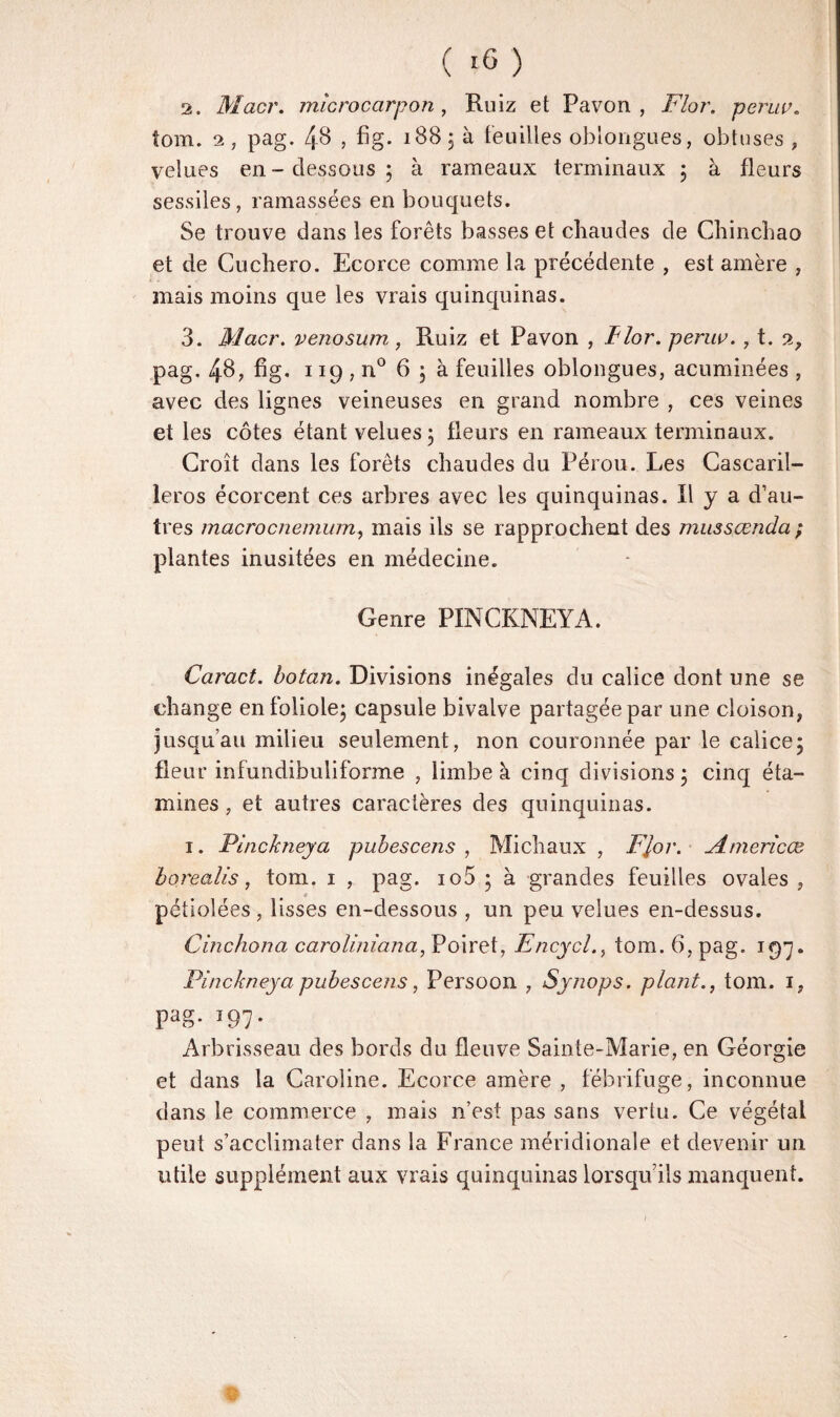 2. Macr. micro carp on , Ruiz et Pavon , Flor. perav. tom. s, pag. 48 , fig. 1885a feuilles oblongues, obtuses , velues en- dessous 5 à rameaux terminaux 5 à fleurs sessiles, ramassées en bouquets. Se trouve dans les forêts basses et chaudes de Chinchao et de Cuchero. Ecorce comme la précédente , est amère , mais moins que les vrais quinquinas. 3. Macr. venosum, Ruiz et Pavon , Flor. peruv., t. 2, pag. 4$, fig* 119 , n° 65 à feuilles oblongues, acuminées , avec des lignes veineuses en grand nombre , ces veines et les côtes étant velues 5 fleurs en rameaux terminaux. Croît dans les forêts chaudes du Pérou. Les Cascaril- leros écorcent ces arbres avec les quinquinas. Ï1 y a d’au¬ tres macrocnemum, mais ils se rapprochent des mussœnda ; plantes inusitées en médecine. Genre PINCKNEYA. Caract. botan. Divisions inégales du calice dont une se change en foliole; capsule bivalve partagée par une cloison, jusqu’au milieu seulement, non couronnée par le calice; fleur infundibuliforme , limbe à cinq divisions; cinq éta¬ mines, et autres caractères des quinquinas. 1. PlncJcneya pubescens , Michaux , Flor. Amerlcæ borealis, tom. 1 , pag. io5 ; à grandes feuilles ovales , « pétiolées, lisses en-dessous , un peu velues en-dessus. Cinchona caroliniana, Poiret, Encycl., tom. 6, pag. 197. Ptnckneya pubescens, Persoon , Synops. plant., tom. 1, pag. 197. Arbrisseau des bords du fleuve Sainte-Marie, en Géorgie et dans la Caroline. Ecorce amère , fébrifuge, inconnue dans le commerce , mais n’est pas sans vertu. Ce végétai peut s’acclimater dans la France méridionale et devenir un utile supplément aux vrais quinquinas lorsqu’ils manquent.