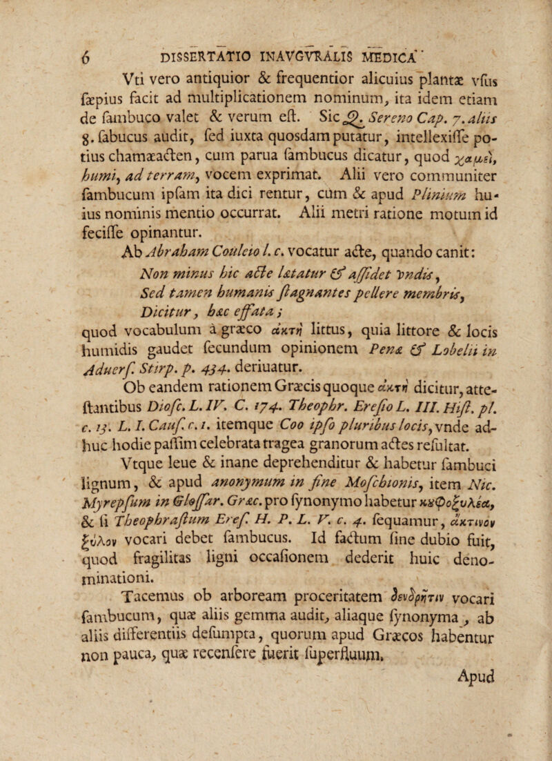 Vti vero antiquior & frequentior alicuius plantae vfus fepius facit ad multiplicationem nominum, ita idem etiam de fambuco valet & verum eft. Sic Sereno Cap. 7. aliis g.fabucus audit, fed iuxta quosdam putatur, intellexifle po¬ tius chamaeaden, cum parua (ambucus dicatur, quod humi, ad terram, vocem exprimat. Alii vero communiter fambucum ipfam ita dici rentur, cum & apud Plinium hu¬ ius nominis mentio occurrat. Alii metri ratione motum id feciffe opinantur. Ab Abraham Coulcio L c. vocatur ade, quando canit: Non minus hic a£le Utatur (f affidet tmdis, Sed tamen humanus fiagn antes pellere membris, Dicitur, hac effata / quod vocabulum a graeco durii littus, quia littore & locis humidis gaudet fecundum opinionem Pena (f Lobeln in Aduerf Stirp. p. 434. deriuatur. Ob eandem rationem Graecis quoque durii dicitur, atte- ftantibus Diofic.L.IV. C. 174. Theophr. Er e fio L. IILHif.pl. c. 13. L. LCaufc.i. itemque Coo ipfo pluribus locis, vnde ad¬ huc hodie patfim celebrata tragea granorum ades refultat. Vtque leue & inane deprehenditur & habetur fambuci ' lignum, & apud anonymum in fine Mofchionis, item Nic. Myrepfum in Gloffar. Grac. pro fynonymo habetur M<po£v\ea, & li Theophr aflum Er e fi H. P. L. V. c. 4. fequamur, dxnvov gtihov vocari debet fambucus. Id fadum (ine dubio fuit, quod fragilitas ligni occafionem dederit huic deno¬ minationi. Tacemus ob arboream proceritatem SsvfyriTiv vocari fambucum, quae aliis gemma audit, aliaque fynonyma , ab aliis differentiis defumpta, quorum apud Graecos habentur non pauca, quae recenlcre luerit fuperfluum. Apud