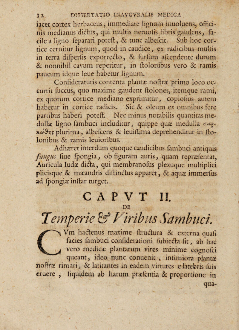 iacet cortex herbaceus, immediate lignum inuoluens, offici¬ nis medianus dictus, qui multis neruofis fibris gaudens, fa¬ cile a ligno feparari potcfl, & tunc albefcit. Sub hoc cor¬ tice cernitur lignum, quod in caudice, ex radicibus multis in terra difperfis exporrefto, & (urium afccndente durum & nonnihil cavum reperitur, in ftolonibus vero & ramis paucum idque leue habetur lignum. Confideraturis contenta planta: noftrae primo loco oc¬ currit fuccus, quo maxime gaudent ftolones, itemque rami, ex quorum cortice mediano exprimitur, copiofius autem habetur in cortice radicis. Sic & oleum ex omnibus fere partibus haberi poteft. Nec minus.notabilis quantitas me¬ dullae ligno fambuci includitur, quippe quae medulla cao- xoo&ris plurima, albefeens & leuifCma deprehenditur in do¬ lonibus Sc ramis leuioribus. Adhaeret interdum quoque caudicibus fambuci antiquis fungus flue fpongia, ob figuram auris, quam repraefentat, Auricula Iudae dicta, qui membranofus plexuque multiplici plicisque & maeandris diflindtus apparet, & aquae immerfus ad fpongiae inftar turget. C A P V T II. DE Temperie & Viribus Sambuci. CVm hadtenus maxime ftrudura & externa quafi facies fambuci confiderationi iubiedta fit, ab hac vero medicae plantarum vires minime cognofci queant, ideo nunc conuenit , intimiora plantae noltrae rimari, & latitantes in eadem virtutes e latebris fuis eruere , fiquidem ab harum praefentia & proportione in qua- .\ /