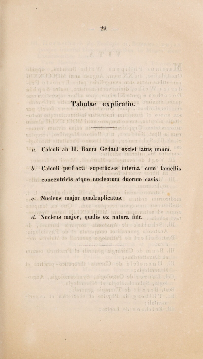 Tabulae explicatio. a. Calculi ab III. Baum Gedani excisi latus unum. b. Calculi perfracti superlicies interna cum lamellis concentricis atque nucleorum duorum cavis. c. Nucleus major quadruplicatus. d. Nucleus major, qualis ex natura fuit.