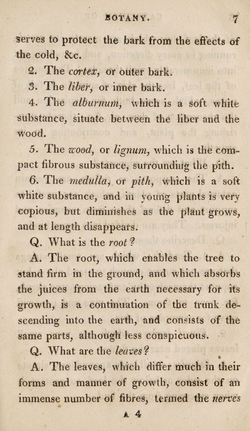 serves to protect the bark from the effects of the cold, &c. 2. The cortex, or outer bark. 3. The liber, or inner bark. 4. The alburnum, which is a soft white substance, situate between the liber and the wood. 5. The zcood, or lignum, which is the com¬ pact fibrous substance, surrounding the pith. 6. The medulla, or pith, which is a soft white substance, and in young plants is very copious, but diminishes as the plant grows, and at length disappears. Q. What is the root ? A. The root, which enables the tree to stand firm in the ground, and which absorbs the juices from the earth necessary for its growth, is a continuation of the trunk de¬ scending into the earth, and consists of the same parts, although less conspicuous. Q. What are the leaves ? ' ~ * A. The leaves, which differ much in their forms and manner of growth, consist of an immense number of fibres, termed the nerves