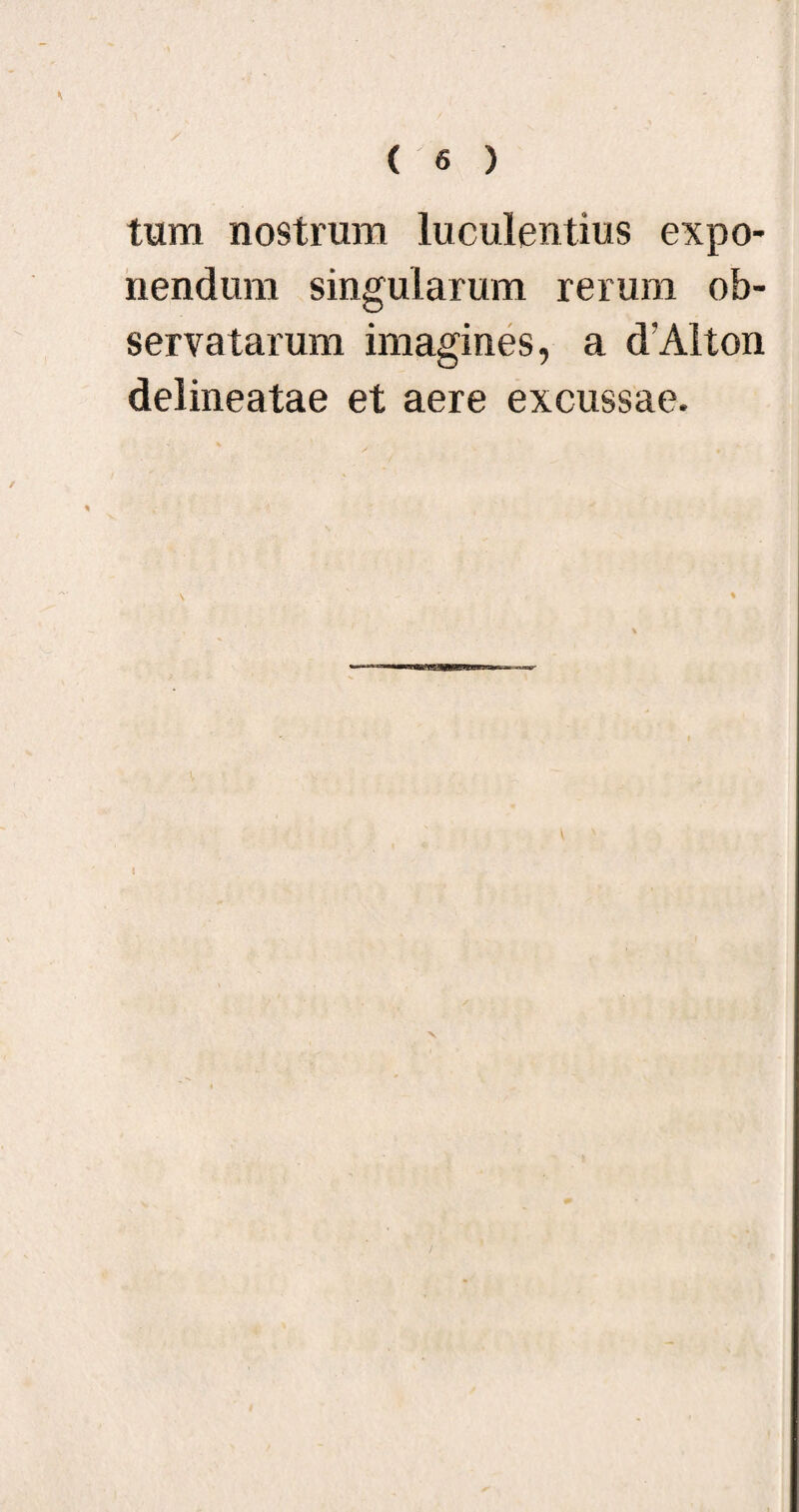 tura nostrum luculentius expo¬ nendum singularum rerum ob¬ servatarum imagines, a d'Alton delineatae et aere excussae. \ * l