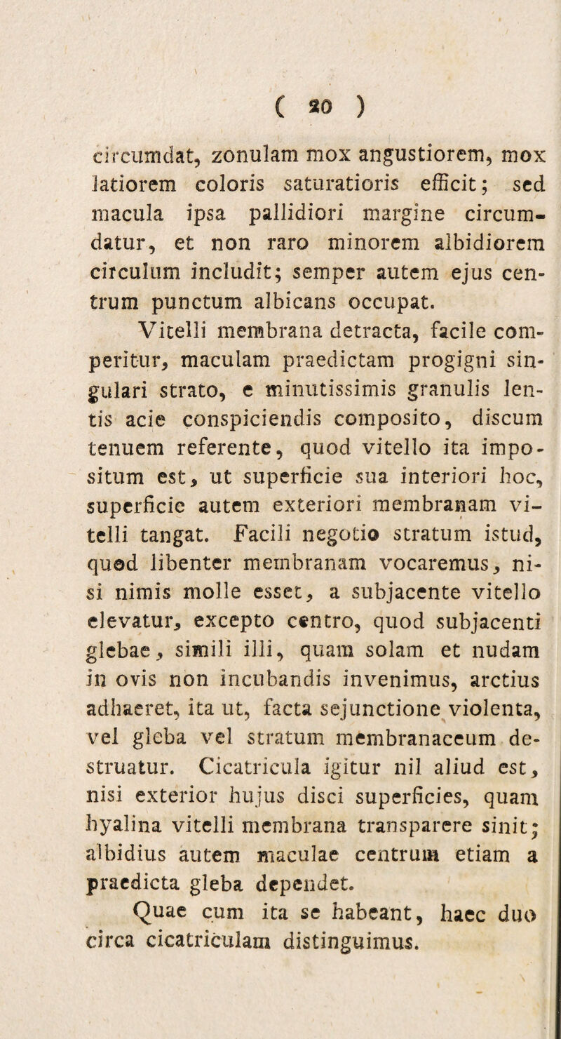 circumdat, zonulam mox angustiorem, mox latiorem coloris saturatioris efficit; sed macula ipsa pallidiori margine circum¬ datur, et non raro minorem albidiorem circulum includit; semper autem ejus cen¬ trum punctum albicans occupat. Vitelli membrana detracta, facile com¬ peritur, maculam praedictam progigni sin¬ gulari strato, e minutissimis granulis len¬ tis acie conspiciendis composito, discum tenuem referente, quod vitello ita impo¬ situm est, ut superficie sua interiori hoc, superficie autem exteriori membranam vi¬ telli tangat. Facili negotio stratum istud, quod libenter membranam vocaremus, ni¬ si nimis molle esset, a subjacente vitello elevatur, excepto centro, quod subjacenti glebae, simili illi, quam solam et nudam in ovis non incubandis invenimus, arctius adhaeret, ita ut, facta sejunctione violenta, vel gleba vel stratum membranaceum de¬ struatur. Cicatricula igitur nil aliud est, nisi exterior hujus disci superficies, quam hyalina vitelli membrana transparere sinit; albidius autem maculae centrum etiam a praedicta gleba dependet. Quae cum ita se habeant, haec duo circa cicatriculam distinguimus.