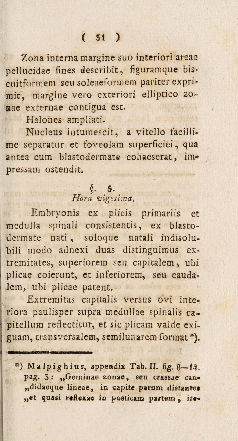 Zona interna margine suo interiori areae pellucidae fines describit, figuramque bis- cuitformem seu soleaeformem pariter expri¬ mit, margine vero exteriori elliptico zo¬ nae externae contigua est. Halones ampliati. Nucleus intumescit, a vitello facilli¬ me separatur et foveolam superficiei, qua antea cum blastodermate cohaeserat, im¬ pressam ostendit. §. 5. Hora vigesima* Embryonis ex plicis primariis et medulla spinali consistentis, ex blasto- dermate nati , soloque natali indisolu- bili modo adnexi duas distinguimus ex¬ tremitates, superiorem seu capitalem, ubi i plicae coierunt, et inferiorem, seu cauda» j lem, ubi plicae patent. Extremitas capitalis versus ovi in te- ,j riora paulisper supra medullae spinalis ca- “ pitellum reflectitur, et sic plicam valde exi- j guam, transversalem, semilunarem format*). Malpighius, appendix Tab. II. fig. 8— pag. 3 : ,,Geminae zonae, seu crassae can- „didaeque lineae, in capite parum distaisfces ,,et quasi reflexae in posticam partem , It#-
