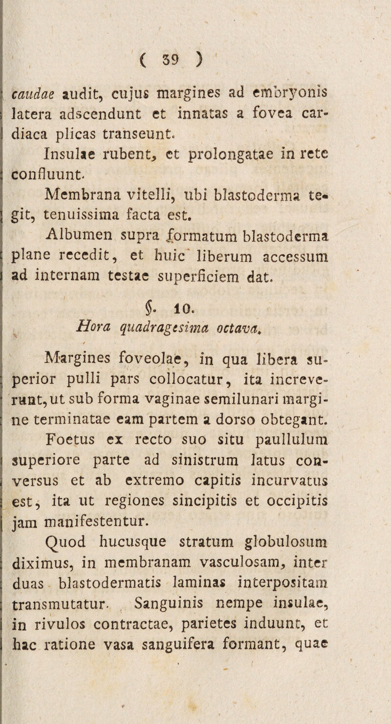 caudae audit, cujus margines ad embi^onis latera adscendunt et innatas a fovea car¬ diaca plicas transeunt. Insulae rubent* et prolongatae in rete confluunt Membrana vitelli, ubi blastoderma te¬ git, tenuissima facta est. Albumen supra formatum blastoderma plane recedit, et huic liberum accessum ad internam testae superficiem dat. 10. Hora quadragesima octava. / / Margines foveolae, in qua libera su- ■* perior pulli pars collocatur, ita increve¬ runt, ut sub forma vaginae semilunari margi¬ ne terminatae eam partem a dorso obtegant. Foetus ex recto suo situ paullulum superiore parte ad sinistrum latus con¬ versus et ab extremo capitis incurvatus est, ita ut regiones sincipitis et occipitis jam manifestentur. Quod hucusque stratum globulosum diximus, in membranam vasculosam* inter duas blastodermatis laminas interpositam transmutatur. Sanguinis nempe insulae, in rivulos contractae, parietes induunt, et hac ratione vasa sanguifera formant, quae