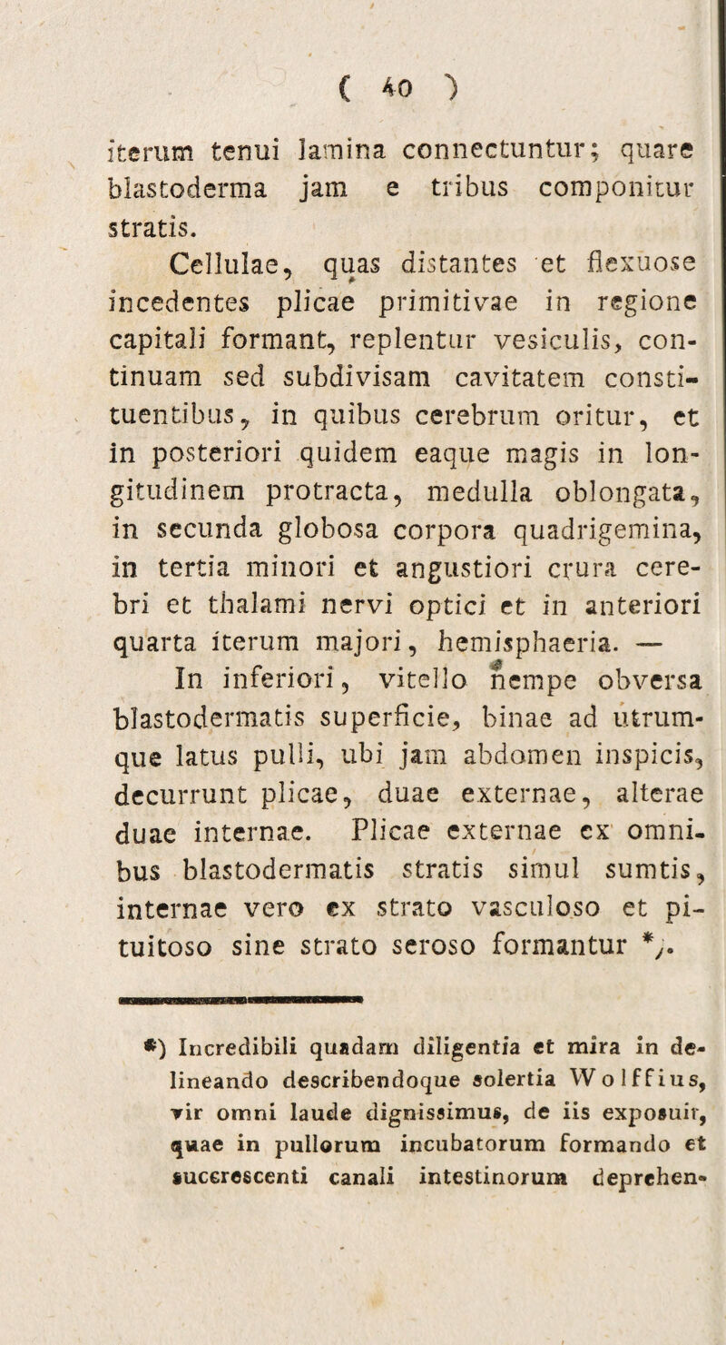 / ( 40 ) iterum tenui lamina connectuntur; quare blastoderma jam e tribus componitur stratis. Cellulae, quas distantes et flexuose incedentes plicae primitivae in regione capitali formant, replentur vesiculis, con¬ tinuam sed subdivisam cavitatem consti¬ tuentibus, in quibus cerebrum oritur, et in posteriori quidem eaque magis in lon¬ gitudinem protracta, medulla oblongata, in secunda globosa corpora quadrigemina, in tertia minori et angustiori crura cere¬ bri et thalami nervi optici et in anteriori quarta iterum majori, hemisphaeria. — In inferiori, vitello nempe obversa blastodermatis superficie, binae ad utrum¬ que latus pulli, ubi jam abdomen inspicis, decurrunt plicae, duae externae, alterae duae internae. Plicae externae cx omni- / bus blastodermatis stratis simul sumtis, internae vero ex strato vasculoso et pi¬ tuitoso sine strato seroso formantur *) Incredibili quadam diligentia et mira in de¬ lineando describendoque solertia Wolffius, vir omni laude dignissimus, de iis expoauir, quae in pullorum incubatorum formando et iuccrescenti canali intestinorum deprehen»