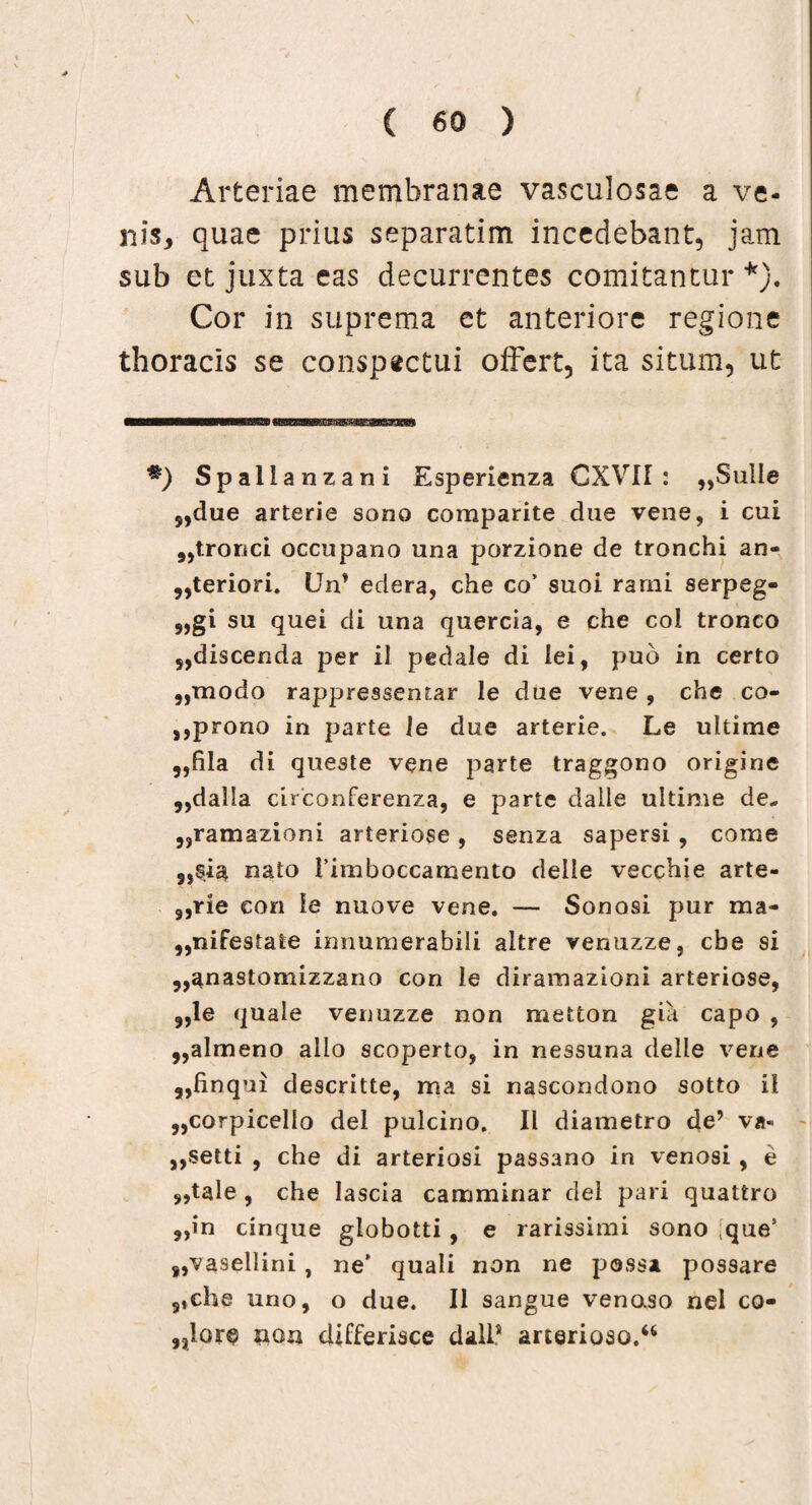 \ Arteriae membranae vasculosae a ve¬ nis, quae prius separatim incedebant, jam sub et juxta eas decurrentes comitantur *). Cor in suprema et anteriore regione thoracis se conspectui offert, ita situm, ut •) Spallanzani Esperienza CXVII : „Sulle 5,due arterie sono comparite due vene, i cui 9,tronci occupano una porzione de tronchi an- „teriori. Un’ edera, che co’ suoi rami serpeg- „gi su quei di una quercia, e che coi tronco 5,discenda per il pedale di lei, puo in certo „modo rappressentar le due vene , che co- ,,prono in parte le due arterie. Le ultime „fila di queste verae parte traggono origine 9,dalla circonferenza, e parte dalle ultime de- ,,ramazioni arteriose , senza sapersi , come 9}§ia nato 1’imboccamento delle vecchie arte- 9,rie con ie nuove vene. — Sonosi pur ma« 9,nifestate innumerabili altre venuzze, che si „anastomizzano con le diramazioni arteriose, 9,le quale venuzze non metton gia capo , 9,almeno alio scoperto, in nessuna delle vene a,linqui descritte, ma si nascondono sotto il „corpicello dei pulcino. Il diametro de’ va« ,,setti , che di arteriosi passano in venosi, e s,tale , che Iascia camminar dei pari quattro ,,in cinque globotti , e rarissimi sono ;ques 8,vasellini , ne’ quali non ne possi possare 5,che uno, o due. Il sangue veno.so nel co- „lore nou differisce dall’ arterioso.“