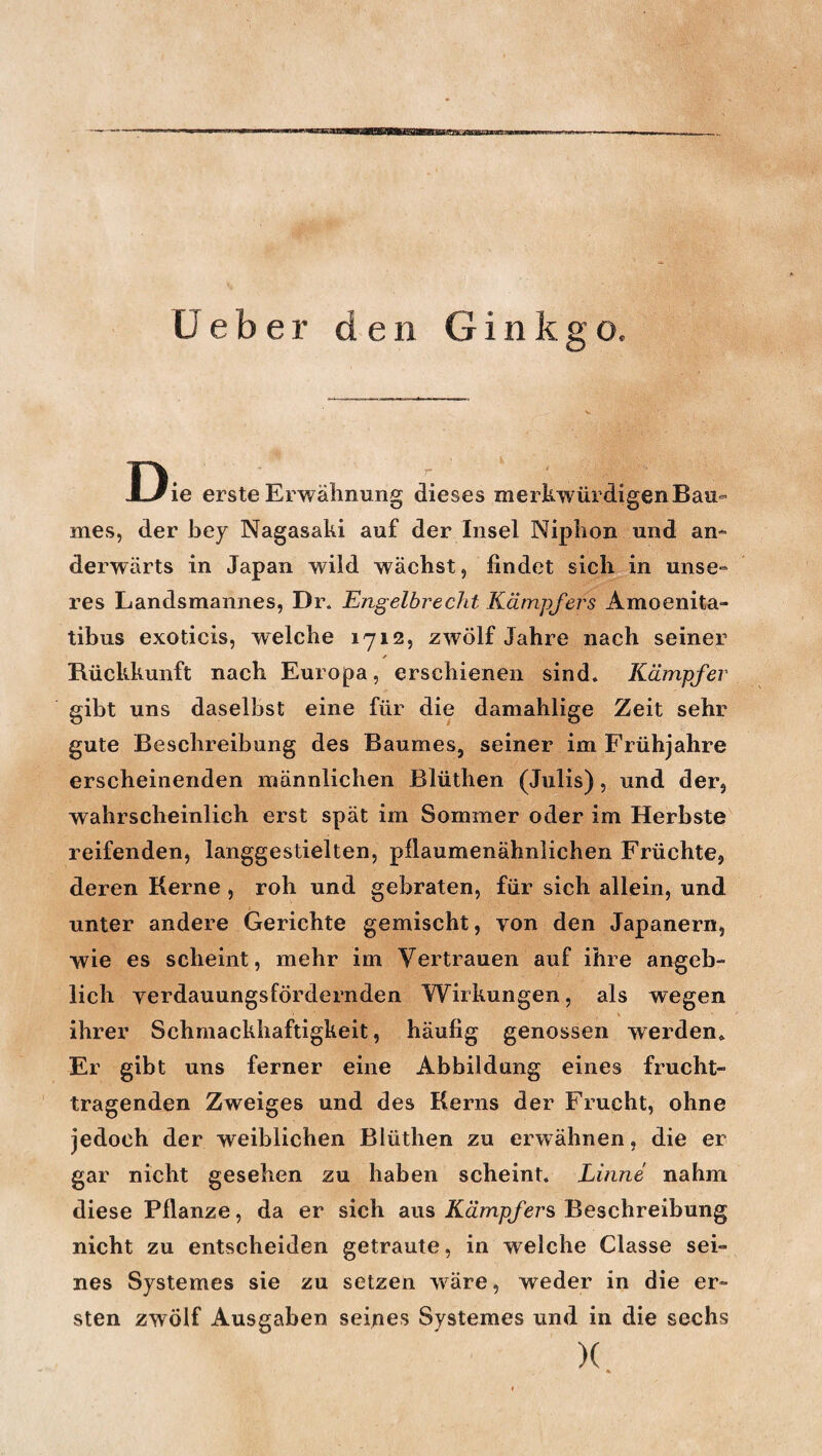 £3*3X2 HBHBBiaaRSN CJeber den Ginkgo. Die erste Erwähnung dieses merkwürdigen Ban- mes, der bey Nagasaki auf der Insel Niphon und an¬ derwärts in Japan wild wächst, findet sich in unse¬ res Landsmannes, Dr. Engelbrecht Kämpfers Amoenita- tibus exoticis, welche 1712, zwölf Jahre nach seiner * Rückkunft nach Europa, erschienen sind. Kämpfer gibt uns daselbst eine für die damahlige Zeit sehr gute Beschreibung des Baumes, seiner im Frühjahre erscheinenden männlichen Blüthen (Julis), und der, wahrscheinlich erst spät im Sommer oder im Herbste reifenden, langgestielten, pflaumenähnlichen Früchte, deren Kerne , roh und gebraten, für sich allein, und unter andere Gerichte gemischt, von den Japanern, wie es scheint, mehr im Vertrauen auf ihre angeb¬ lich yerdauungsfördernden Wirkungen, als wegen ihrer Schmackhaftigkeit, häufig genossen werden. Er gibt uns ferner eine Abbildung eines frucht¬ tragenden Zweiges und des Kerns der Frucht, ohne jedoch der weiblichen Blüthen zu erwähnen, die er gar nicht gesehen zu haben scheint. Kinne nahm diese Pflanze, da er sich aus Kämpfers, Beschreibung nicht zu entscheiden getraute, in welche Classe sei¬ nes Systemes sie zu setzen wräre, weder in die er¬ sten zwölf Ausgaben seines Systemes und in die sechs x *