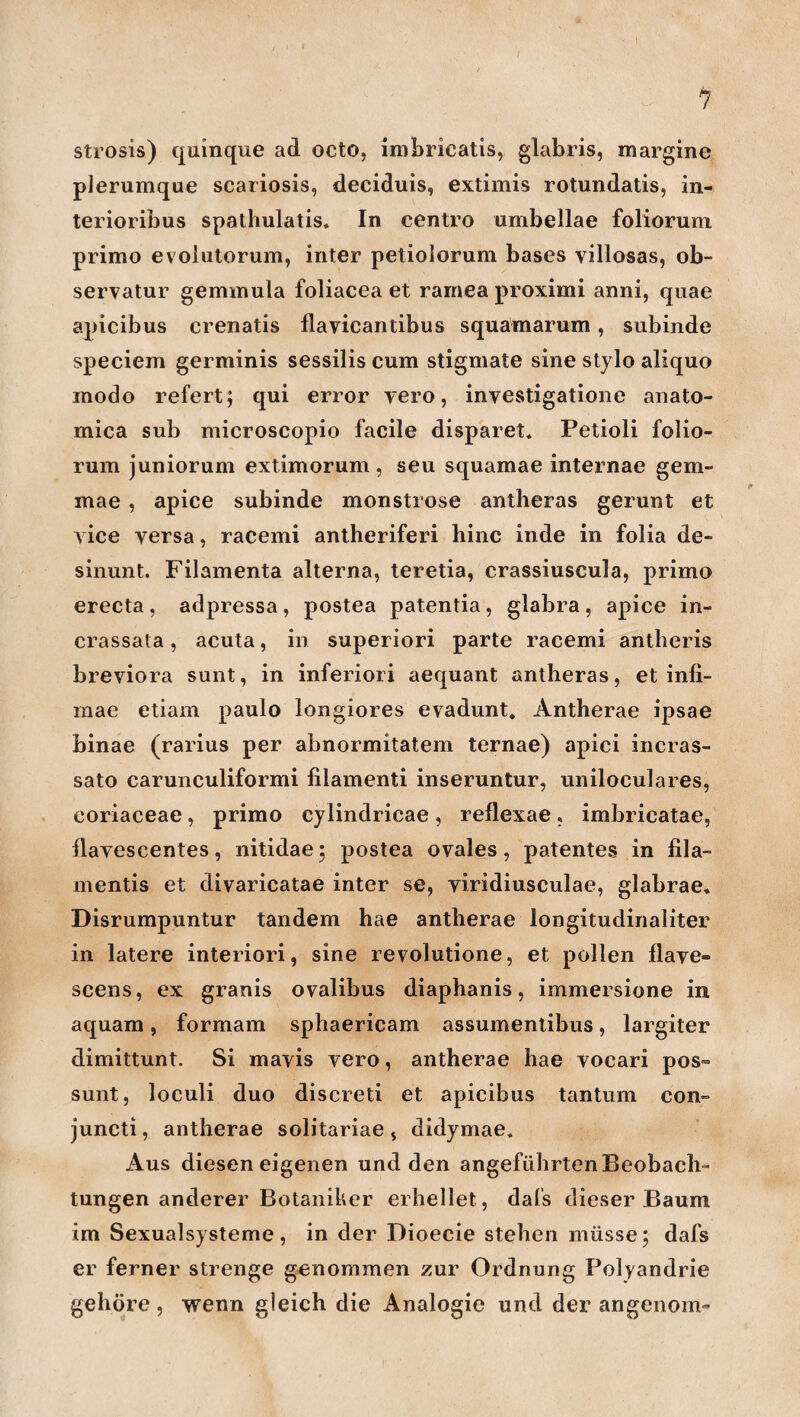 1 strosis) quinque ad octo, imbricatis, glabris, margine plerumque scariosis, deciduis, extimis rotundatis, in- terioribus spathulatis. In centro umbellae foliorum primo evolutorum, inter petiolorum bases villosas, ob- servatur geminula foliacea et rarnea proximi anni, quae apicibus erenatis flayicantibus squamarum, subinde speciem germinis sessilis cum stigmate sine stylo aliquo modo refert; qui error yero, investigatione anato- mica sub microscopio facile disparet« Petioli folio¬ rum juniorum extimorum , seu squamae internae gem- mae , apice subinde monströse antheras gerunt et yice yersa, racemi antheriferi hinc inde in folia de- sinunt. Filamenta alterna, teretia, crassiuscula, primo erecta, adpressa, postea patentia, glabra, apice in- crassata, acuta, in superiori parte racemi antberis breviora sunt, in inferiori aequant antheras, et infi- mae etiam paulo longiores evadunt. Antherae ipsae binae (rarius per abnormitatem ternae) apici incras- sato carunculiformi filamenti inseruntur, uniloculares, coriaceae, primo cylindricae , reflexae , imbricatae, flayescentes, nitidae; postea oyales, patenteks in fila- rnentis et divaricatae inter se, yiridiusculae, glabrae* Disrumpuntur tandem hae antherae longitudinaliter in latere interiori, sine revolutione, et pollen flaye- scens, ex granis ovalibus diaphanis, immersione in aquam, formam sphaericam assumentibus, largiter dimittunt. Si mayis yero, antherae hae yocari pos- sunt, loculi duo discreti et apicibus tantum con- juncti, antherae solitariae, didymae* Aus diesen eigenen und den angeführten Beobach¬ tungen anderer Botaniker erhellet, dafs dieser Baum im Sexualsysteme, in der Dioecie stehen müsse; dafs er ferner strenge genommen zur Ordnung Polyandrie gehöre , wenn gleich die Analogie und der angenom-
