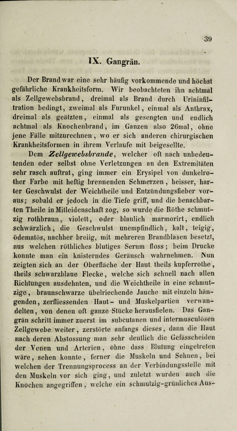 IX. Gangrän. Der Brand war eine sehr häufig vorkommende und höchst gefährliche Krankheitsform. Wir beobachteten ihn achtmal als Zellgewebsbrand, dreimal als Brand durch Urininfil¬ tration bedingt, zweimal als Furunkel, einmal als Anthrax, dreimal als geätzten, einmal als gesengten und endlich achtmal als Knochenbrand, im Ganzen also 26mal, ohne jene Fälle mitzurechnen, wo er sich anderen chirurgischen Krankheitsformen in ihrem Verlaufe mit beigesellte. Dem Zellgewebsbr aride, welcher oft nach unbedeu¬ tenden oder selbst ohne Verletzungen an den Extremitäten sehr rasch auftrat, ging immer ein Erysipel von dunkelro- ther Farbe mit heftig brennenden Schmerzen, heisser, har¬ ter Geschwulst der Weichtheile und Entzündungsfieber vor¬ aus; sobald er jedoch in die Tiefe griff, und die benachbar¬ ten Theile in Mitleidenschaft zog, so wurde die Röthe schmut¬ zig rothbraun, violett, oder bläulich marmorirt, endlich schwärzlich, die Geschwulst unempfindlich, kalt, teigig, ödematös, nachher breiig, mit mehreren Brandblasen besetzt, aus welchen röthliches blutiges Serum floss; beim Drucke konnte man ein knisterndes Geräusch wahrnehmen. Nun zeigten sich an der Oberfläche der Haut theils kupferrothe, theils schwarzblaue Flecke, welche sich schnell nach allen Richtungen ausdehnten, und die Weichtheile in eine schmut¬ zige , braunschwarze übelriechende Jauche mit einzeln hän¬ genden, zerfliessenden Haut- und Muskelpartien verwan¬ delten , von denen oft ganze Stücke herausfielen. Das Gan¬ grän schritt immer zuerst im subcutanen und intermusculösen Zellgewebe weiter, zerstörte anfangs dieses, dann die Haut nach deren Abstossung man sehr deutlich die Gefässcheiden der Venen und Arterien, ohne dass Blutung eingetreten wäre, sehen konnte, ferner die Muskeln und Sehnen, bei welchen der Trennungsprocess an der Verbindungsstelle mit den Muskeln vor sich ging, und zuletzt wurden auch die Knochen angegriffen , welche ein schmutzig-grünliches Aus-