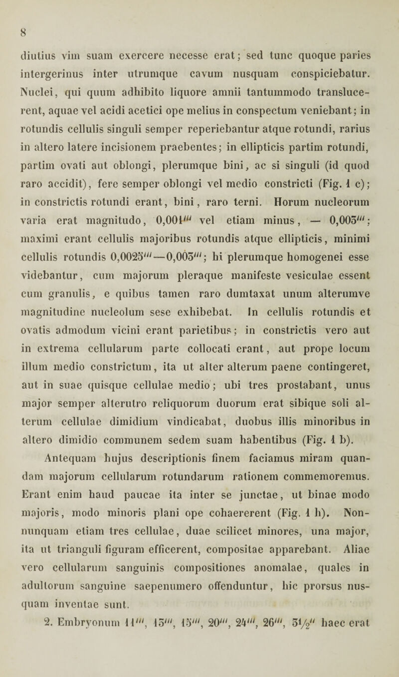 diutius vim suam exercere necesse erat; sed tunc quoque paries intergerinus inter utrumque cavum nusquam conspiciebatur. Nuclei, qui quum adhibito liquore amnii tantummodo transluce- rent, aquae vel acidi acetici ope melius in conspectum veniebant; in rotundis cellulis singuli semper reperiebantur atque rotundi, rarius in altero latere incisionem praebentes; in ellipticis partim rotundi, partim ovati aut oblongi, plerumque bini, ac si singuli (id quod raro accidit), fere semper oblongi vel medio constricti (Fig. 1 c); in constrictis rotundi erant, bini, raro terni. Horum nucleorum varia erat magnitudo, 0,001' vel etiam minus, — 0,005'; maximi erant cellulis majoribus rotundis atque ellipticis, minimi cellulis rotundis 0,0025' — 0,005'; bi plerumque homogenei esse videbantur, cum majorum pleraque manifeste vesiculae essent cum granulis, e quibus tamen raro dumtaxat unum alterumve magnitudine nucleolum sese exhibebat. In cellulis rotundis et ovatis admodum vicini erant parietibus; in constrictis vero aut in extrema cellularum parte collocati erant, aut prope locum illum medio constrictum, ita ut alter alterum paene contingeret, aut in suae quisque cellulae medio; ubi tres prostabant, unus major semper alterutro reliquorum duorum erat sibique soli al¬ terum cellulae dimidium vindicabat, duobus illis minoribus in allero dimidio communem sedem suam habentibus (Fig. 1 b). Antequam hujus descriptionis finem faciamus miram quan- dam majorum cellularum rotundarum rationem commemoremus. Erant enim haud paucae ita inter se junctae, ut binae modo majoris, modo minoris plani ope cohaererent (Fig. 1 h). Non- nunquam etiam tres cellulae, duae scilicet minores, una major, ita ut trianguli figuram efficerent, compositae apparebant. Aliae vero cellularum sanguinis compositiones anomalae, quales in adultorum sanguine saepenumero offenduntur, hic prorsus nus¬ quam inventae sunt. 2. Embryonum 11', 15', 15', 20', 24', 26', 5i/2 haec erat