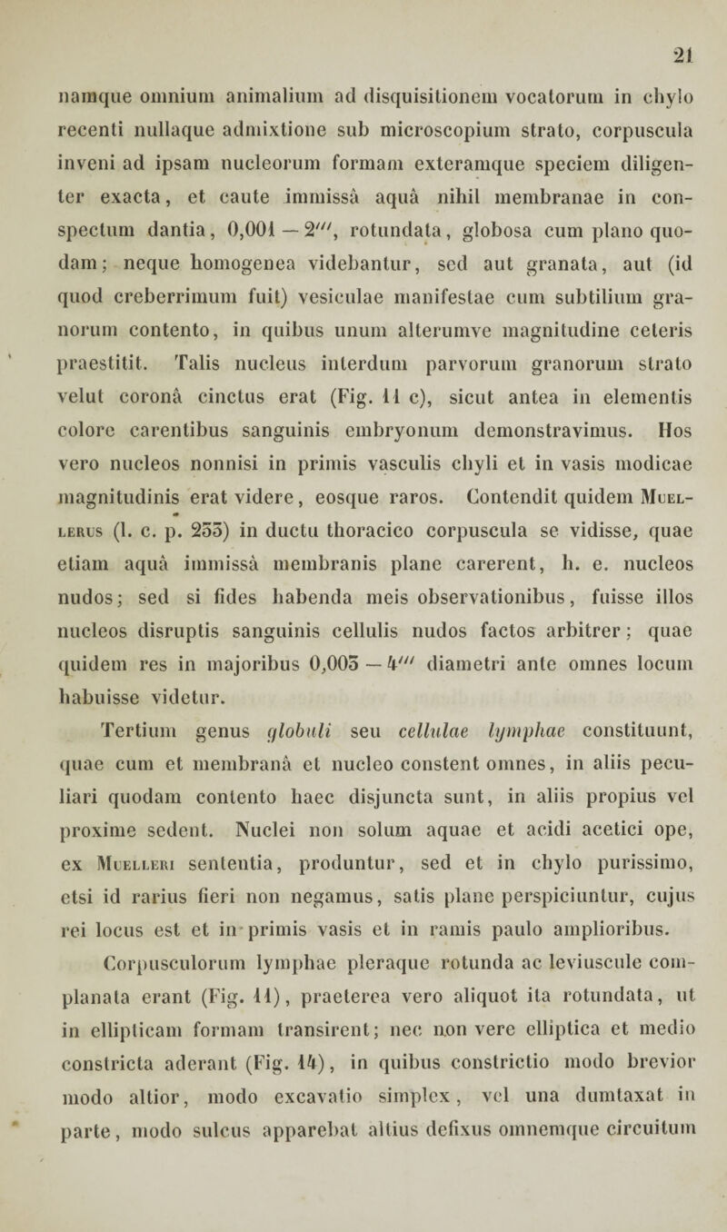 namque omnium animalium ad disquisitionem vocatorum in chylo recenti nullaque admixtione sub microscopium strato, corpuscula inveni ad ipsam nucleorum formam exteramque speciem diligen¬ ter exacta, et caute immissa aqua nihil membranae in con¬ spectum dantia, 0,001 — 2', rotundata, globosa cum plano quo¬ dam; neque homogenea videbantur, sed aut granata, aut (id quod creberrimum fuit) vesiculae manifestae cum subtilium gra¬ norum contento, in quibus unum alterumve magnitudine celeris praestitit. Talis nucleus interdum parvorum granorum strato velut corona cinctus erat (Fig. 11 c), sicut antea in elementis colore carentibus sanguinis embryonum demonstravimus. Hos vero nucleos nonnisi in primis vasculis chyli et in vasis modicae magnitudinis erat videre, eosque raros. Contendit quidem Muel- «• lemis (1. c. p. 255) in ductu thoracico corpuscula se vidisse, quae etiam aqua immissa membranis plane carerent, h. e. nucleos nudos; sed si fides habenda meis observationibus, fuisse illos nucleos disruptis sanguinis cellulis nudos factos arbitrer; quae quidem res in majoribus 0,005 — 4' diametri ante omnes locum habuisse videtur. Tertium genus globuli seu cellulae lymphae constituunt, quae cum et membrana et nucleo constent omnes, in aliis pecu¬ liari quodam contento haec disjuncta sunt, in aliis propius vel proxime sedent. Nuclei non solum aquae et acidi acetici ope, ex Muelleri sententia, produntur, sed et in chylo purissimo, etsi id rarius fieri non negamus, satis plane perspiciuntur, cujus rei locus est et in* primis vasis et in ramis paulo amplioribus. Corpusculorum lymphae pleraque rotunda ac leviuscule com¬ planata erant (Fig. 11), praeterea vero aliquot ita rotundata, ut in ellipticam formam transirent; nec non vere elliptica et medio constricta aderant (Fig. 14), in quibus constrictio modo brevior modo altior, modo excavatio simplex, vel una dumtaxat in parte, modo sulcus apparebat altius defixus omnemque circuitum