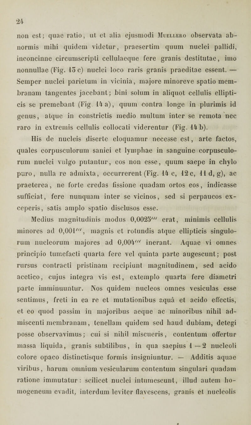 non est; quae ratio, ut et alia ejusmodi Muellero observata ab¬ normis mihi quidem videtur, praesertim quum nuclei pallidi, inconcinne circumscripti cellulaeque fere granis destitutae, imo nonnullae (Fig. 45 c) nuclei loco raris granis praeditae essent. — Semper nuclei parietum in vicinia, majore minoreve spatio mem¬ branam tangentes jacebant; bini solum in aliquot cellulis ellipti¬ cis se premebant (Fig 14 a), quum contra longe in plurimis id genus, atque in constrictis medio multum inter se remota nec raro in extremis cellulis collocati viderentur (Fig. 14 b). His de nucleis diserte eloquamur necesse est, arte factos, quales corpusculorum saniei et lymphae in sanguine corpusculo¬ rum nuclei vulgo putantur, eos non esse, quum saepe in chylo puro, nulla re admixta, occurrerent (Fig. 14 c, 12c, lld, g), ac praeterea, ne forte credas fissione quadam ortos eos, indicasse sufficiat, fere nunquam inter se vicinos, sed si perpaucos ex¬ ceperis, satis amplo spatio disclusos esse. Medius magnitudinis modus 0,0025' erat, minimis cellulis minores ad 0,0017//, magnis et rotundis atque ellipticis singulo¬ rum nucleorum majores ad 0,004' inerant. Aquae vi omnes principio tumefacti quarta fere vel quinta parte augescunt; post rursus contracti pristinam recipiunt magnitudinem, sed acido acetico, cujus integra vis est, extemplo quarta fere diametri parte imminuuntur. Nos quidem nucleos omnes vesiculas esse sentimus, freti in ea re et mutationibus aqua et acido effectis, et eo quod passim in majoribus aeque ac minoribus nihil ad¬ miscenti membranam, tenellam quidem sed haud dubiam, detegi posse observavimus; cui si nihil miscueris, contentum offertur massa liquida, granis subtilibus, in qua saepius 1—2 nucleoli colore opaco distinctisque formis insigniuntur. — Additis aquae viribus, harum omnium vesicularum contentum singulari quadam ratione immutatur: scilicet nuclei intumescunt, illud autem ho- mogeneum evadit, interdum leviter flavescens, granis et nucleolis 4
