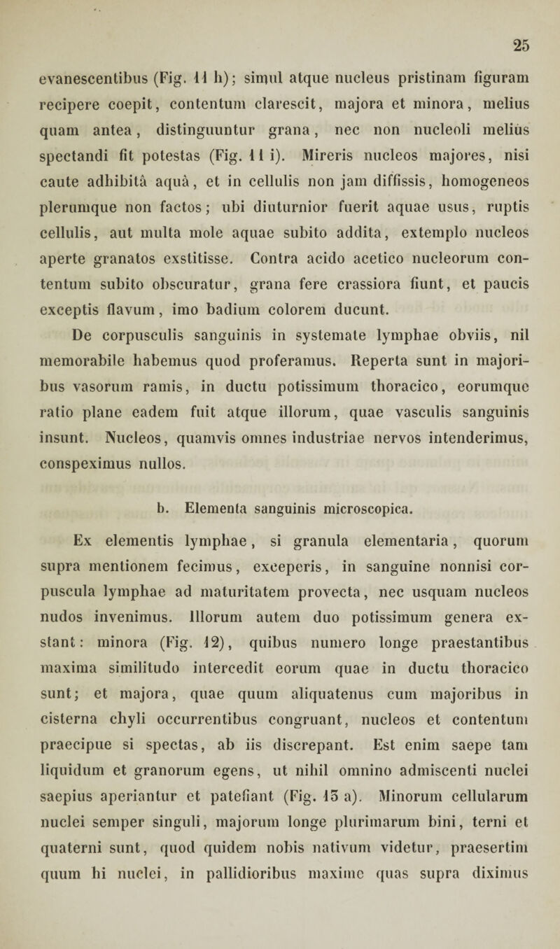 evanescentibus (Fig. 11 h); simul atque nucleus pristinam figuram recipere coepit, contentum clarescit, majora et minora, melius quam antea, distinguuntur grana, nec non nucleoli melius spectandi fit potestas (Fig. Ili). Mireris nucleos majores, nisi caute adhibita aqua, et in cellulis non jam diffissis, homogeneos plerumque non factos; ubi diuturnior fuerit aquae usus, ruptis cellulis, aut multa mole aquae subito addita, extemplo nucleos aperte granatos exstitisse. Contra acido acetico nucleorum con¬ tentum subito obscuratur, grana fere crassiora fiunt, et paucis exceptis flavum, imo badium colorem ducunt. De corpusculis sanguinis in systemate lymphae obviis, nil memorabile habemus quod proferamus. Reperta sunt in majori¬ bus vasorum ramis, in ductu potissimum thoracico, eorumque ratio plane eadem fuit atque illorum, quae vasculis sanguinis insunt. Nucleos, quamvis omnes industriae nervos intenderimus, conspeximus nullos. b. Elementa sanguinis microscopica. Ex elementis lymphae, si granula elementaria, quorum supra mentionem fecimus, exceperis, in sanguine nonnisi cor¬ puscula lymphae ad maturitatem provecta, nec usquam nucleos nudos invenimus. Illorum autem duo potissimum genera ex¬ stant: minora (Fig. 12), quibus numero longe praestantibus maxima similitudo intercedit eorum quae in ductu thoracico sunt; et majora, quae quum aliquatenus cum majoribus in cisterna chyli occurrentibus congruant, nucleos et contentum praecipue si spectas, ab iis discrepant. Est enim saepe tam liquidum et granorum egens, ut nihil omnino admiscenti nuclei saepius aperiantur et patefiant (Fig. 15 a). Minorum cellularum nuclei semper singuli, majorum longe plurimarum bini, terni et quaterni sunt, quod quidem nobis nativum videtur, praesertim quum hi nuclei, in pallidioribus maxime quas supra diximus
