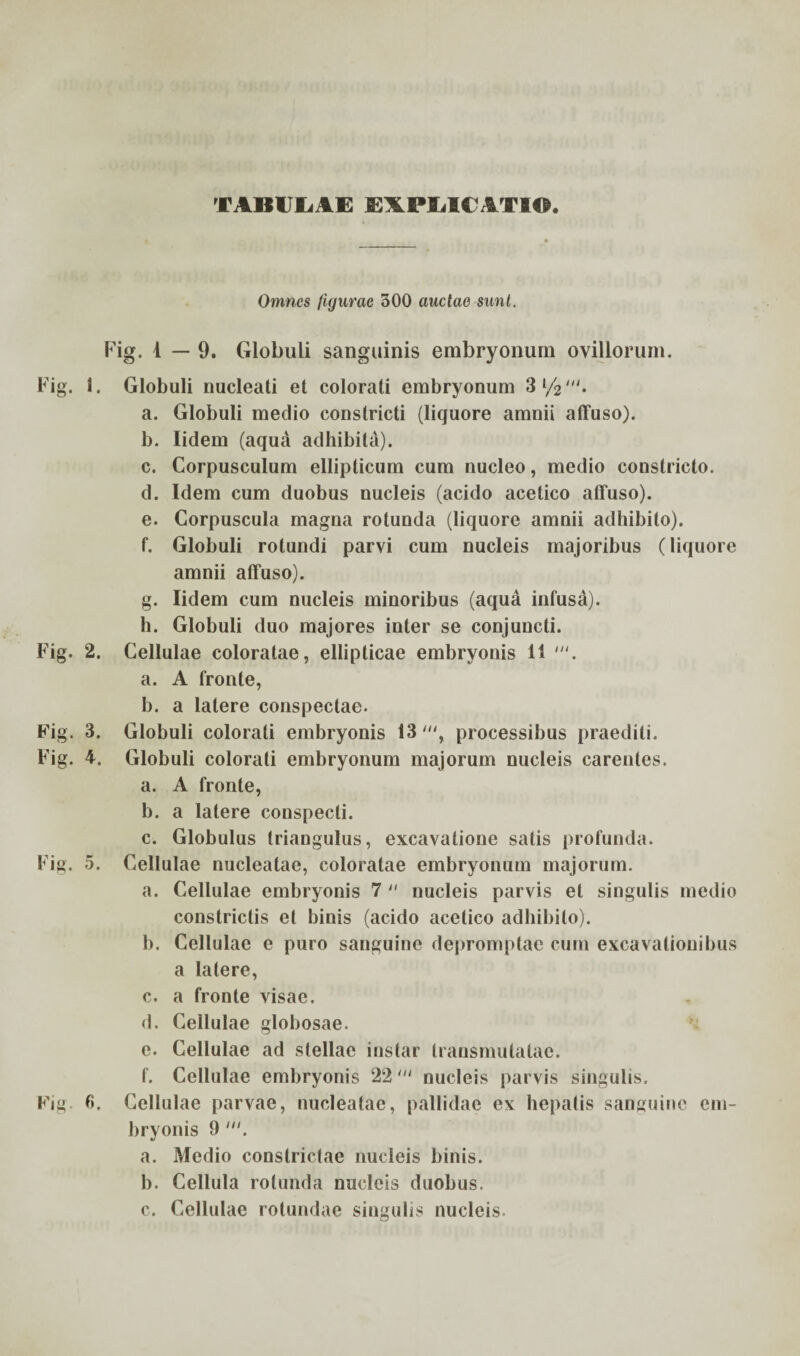 TABULAE EXPLICATIO. Omnes figurae 300 auctae sunt. Fig. 1—9. Globuli sanguinis embryonum ovillorum. Fig. i. Globuli nucleati et colorati embryonum 3l/2,u. a. Globuli medio constricti (liquore amnii affuso). b. lidem (aqua adhibita). c. Corpusculum ellipticum cum nucleo, medio constricto. d. Idem cum duobus nucleis (acido acetico affuso). e. Corpuscula magna rotunda (liquore amnii adhibito). f. Globuli rotundi parvi cum nucleis majoribus (liquore amnii affuso). g. lidem cum nucleis minoribus (aqua infusa). h. Globuli duo majores inter se conjuncti. Fig. 2. Cellulae coloratae, ellipticae embryonis 11 a. A fronte, b. a latere conspectae. Fig. 3. Globuli colorati embryonis 13 processibus praediti. Fig. 4. Globuli colorati embryonum majorum nucleis carentes. a. A fronte, b. a latere conspecti. c. Globulus triangulus, excavatione satis profunda. Fig. 5. Cellulae nucleatae, coloratae embryonum majorum. a. Cellulae embryonis 7 nucleis parvis et singulis medio constrictis et binis (acido acetico adhibito). b. Cellulae e puro sanguine depromptae cum excavationibus a latere, c. a fronte visae. d. Cellulae globosae. e. Cellulae ad stellae instar transmulalae. f. Cellulae embryonis 22nucleis parvis singulis. Fig. fi. Cellulae parvae, nucleatae, pallidae ex hepatis sanguine em¬ bryonis 9 a. Medio constrictae nucleis binis. b. Cellula rotunda nucleis duobus. c. Cellulae rotundae singulis nucleis.