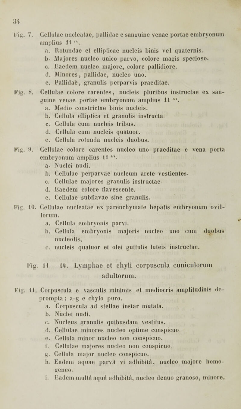 Fig. 7. Cellulae nucleatae, pallidae e sanguine venae portae embryonum amplius 11 a. Rotundae et ellipticae nucleis binis vel quaternis. b. Majores nucleo unico parvo, colore magis specioso. c. Eaedem nucleo majore, colore pallidiore. d. Minores, pallidae, nucleo uno. e. Pallidae, granulis perparvis praeditae. Fig. 8. Cellulae colore carentes, nucleis pluribus instructae ex san¬ guine venae portae embryonum amplius 11 a. Medio constrictae binis nucleis. b. Cellula elliptica et granulis instructa. c. Cellula cum nucleis tribus. d. Cellula cum nucleis quatuor. e. Cellula rotunda nucleis duobus. Fig. 9. Cellulae colore carentes nucleo uno praeditae e vena porta embryonum amplius 11 a. Nuclei nudi. b. Cellulae perparvae nucleum arcte vestientes. c. Cellulae majores granulis instructae. d. Eaedem colore flavescente. e. Cellulae subflavae sine granulis. Fig. 10. Cellulae nucleatae ex parenchymate hepatis embryonum ovil¬ lorum. a. Cellula embryonis parvi. b. Cellula embryonis majoris nucleo uno cum duobus nucleolis, c. nucleis quatuor et olei guttulis luteis instructae. Fig. i 1 — 14. Lymphae et chyli corpuscula cuniculorum adultorum. Fig. 11. Corpuscula e vasculis minimis et mediocris amplitudinis de¬ prompta ; a-g e chylo puro. a. Corpuscula ad stellae instar mutata. b. Nuclei nudi. c. Nucleus granulis quibusdam vestitus. d. Cellulae minores nucleo optime conspicuo. e. Cellula minor nucleo non conspicuo. f. Cellulae majores nucleo non conspicuo. g. Cellula major nucleo conspicuo. h. Eadem aquae parvA vi adhibiti, nucleo majore horno- geneo. i. Eadem multA aqua adhibitA, nucleo denuo granoso, minore.
