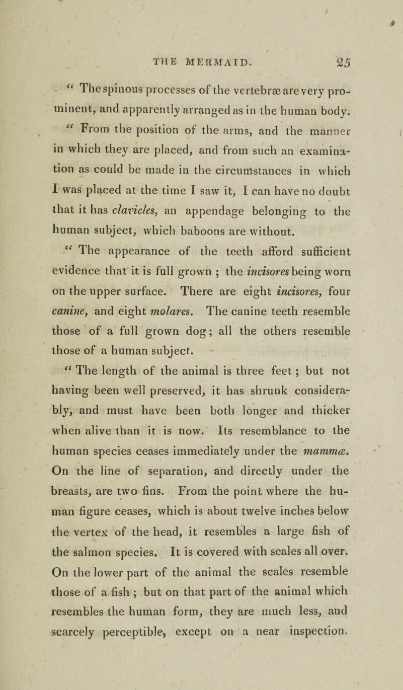 u The spinous processes of the vertebrae are very pro¬ minent, and apparently arranged as in the human body. “ From the position ot the arms, and the manner in which they are placed, and from such an examina¬ tion as could be made in the circumstances in which I was placed at the time I saw it, I can have no doubt that it has clavicles, an appendage belonging to the human subject, which baboons are without. “ The appearance of the teeth afford sufficient evidence that it is full grown ; the incisores being worn on the upper surface. There are eight incisores, four canine, and eight molares. The canine teeth resemble those of a full grown dog; all the others resemble those of a human subject. “ The length of the animal is three feet; but not having been well preserved, it has shrunk considera¬ bly, and must have been both longer and thicker when alive than it is now. Its resemblance to the human species ceases immediately under the mamma. On the line of separation, and directly under the breasts, are two fins. From the point where the hu¬ man figure ceases, which is about twelve inches below the vertex of the head, it resembles a large fish of the salmon species. It is covered with scales all over. On the lower part of the animal the scales resemble those of a fish ; but on that part of the animal which resembles the human form, they are much less, and scarcely perceptible, except on a near inspection.