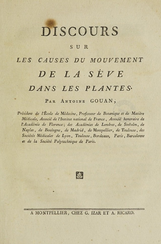 digitised image 3