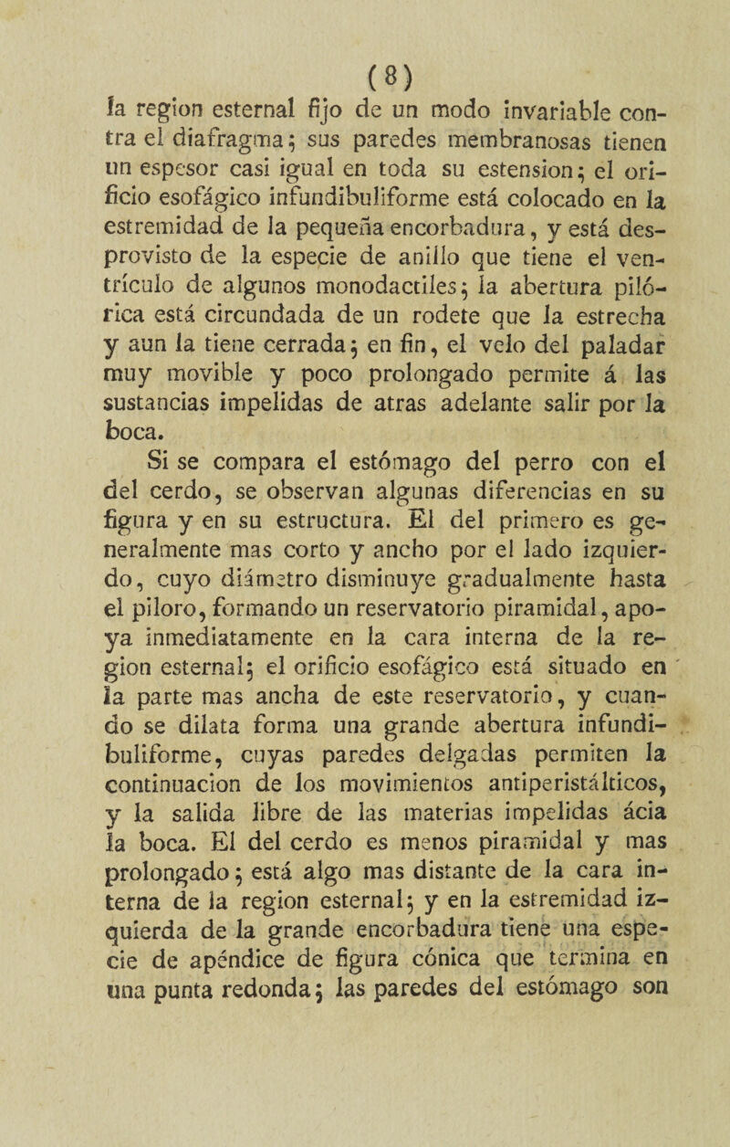 (8) la région esternal fijo de un modo invariable con¬ tra el diafragma $ sus paredes membranosas tienen un espesor casi igual en toda su estension; el ori¬ ficio esofágico infundibuliforme está colocado en la estremidad de la pequeña encorbadura, y está des¬ provisto de la especie de anillo que tiene el ven¬ trículo de algunos monodactiíes ; la abertura püó- rica está circundada de un rodete que la estrecha y aun la tiene cerrada ; en fin, el velo del paladar muy movible y poco prolongado permite á las sustancias impelidas de atras adelante salir por la boca. Si se compara el estómago del perro con el del cerdo, se observan algunas diferencias en su figura y en su estructura. El del primero es ge¬ neralmente mas corto y ancho por el lado izquier¬ do, cuyo diámetro disminuye gradualmente hasta el piloro, formando un reservatorio piramidal, apo¬ ya inmediatamente en la cara interna de la re¬ gión esternal; el orificio esofágico está situado en la parte mas ancha de este reservatorio, y cuan¬ do se dilata forma una grande abertura infundi¬ buliforme, cuyas paredes delgadas permiten la continuación de los movimientos antiperistálticos, y la salida libre de las materias impelidas ácia la boca. El del cerdo es menos piramidal y mas prolongado ; está algo mas distante de la cara in¬ terna de la región esternal; y en la estremidad iz¬ quierda de la grande encorbadura tiene una espe¬ cie de apéndice de figura cónica que termina en una punta redonda; las paredes del estómago son