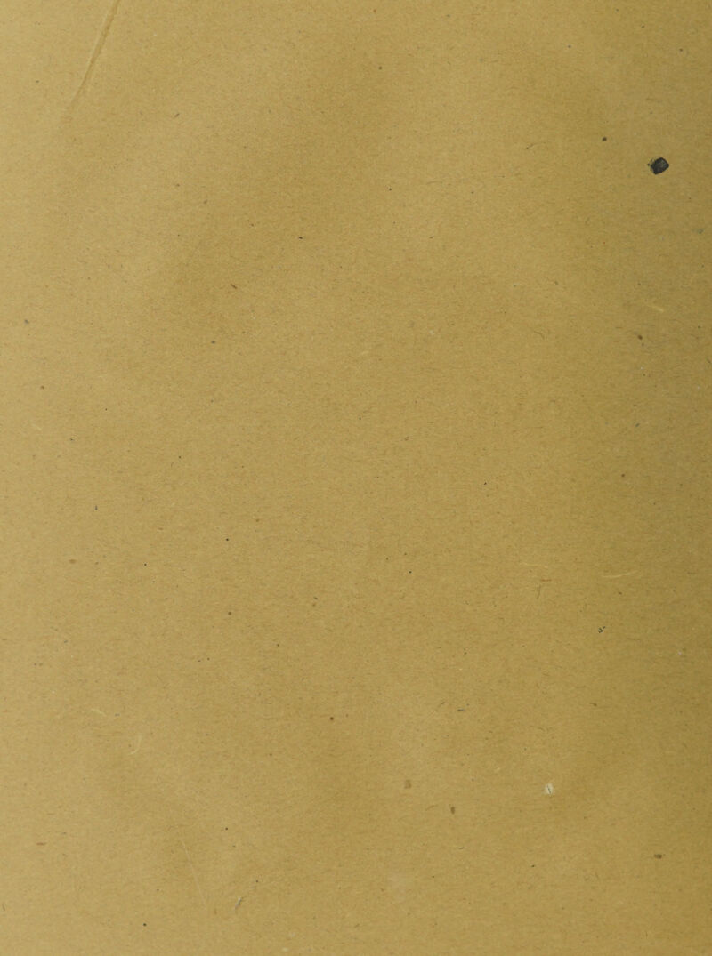 • y v' V. '•••- - m ( ) >• - r ; r i 'i % '-. >-