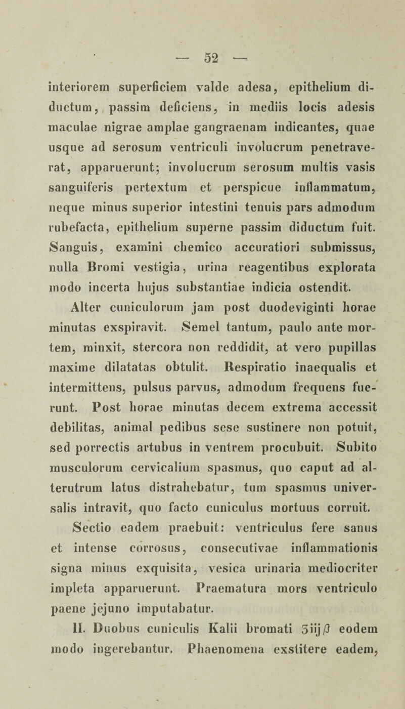 interiorem superficiem valde adesa, epithelium di¬ ductum, passim deficiens, in mediis locis adesis maculae nigrae amplae gangraenam indicantes, quae usque ad serosum ventriculi involucrum penetrave¬ rat, apparuerunt; involucrum serosum multis vasis sanguiferis pertextum et perspicue inflammatum, neque minus superior intestini tenuis pars admodum rubefacta, epithelium superne passim diductum fuit. Sanguis, examini chemico accuratiori submissus, nulla Bromi vestigia, urina reagentibus explorata modo incerta hujus substantiae indicia ostendit. Alter cuniculorum jam post duodeviginti horae minutas exspiravit. Semel tantum, paulo ante mor¬ tem, minxit, stercora non reddidit, at vero pupillas maxime dilatatas obtulit. Respiratio inaequalis et intermittens, pulsus parvus, admodum frequens fue¬ runt. Post horae minutas decem extrema accessit debilitas, animal pedibus sese sustinere non potuit, sed porrectis artubus in ventrem procubuit. Subito musculorum cervicalium spasmus, quo caput ad al¬ terutrum latus distrahebatur, tum spasmus univer¬ salis intravit, quo facto cuniculus mortuus corruit. Sectio eadem praebuit: ventriculus fere sanus et intense corrosus, consecutivae inflammationis signa minus exquisita, vesica urinaria mediocriter impleta apparuerunt. Praematura mors ventriculo paene jejuno imputabatur. 1L Duobus cuniculis Kalii bromati 3iij/3 eodem modo ingerebantur. Phaenomena exstitere eadem,