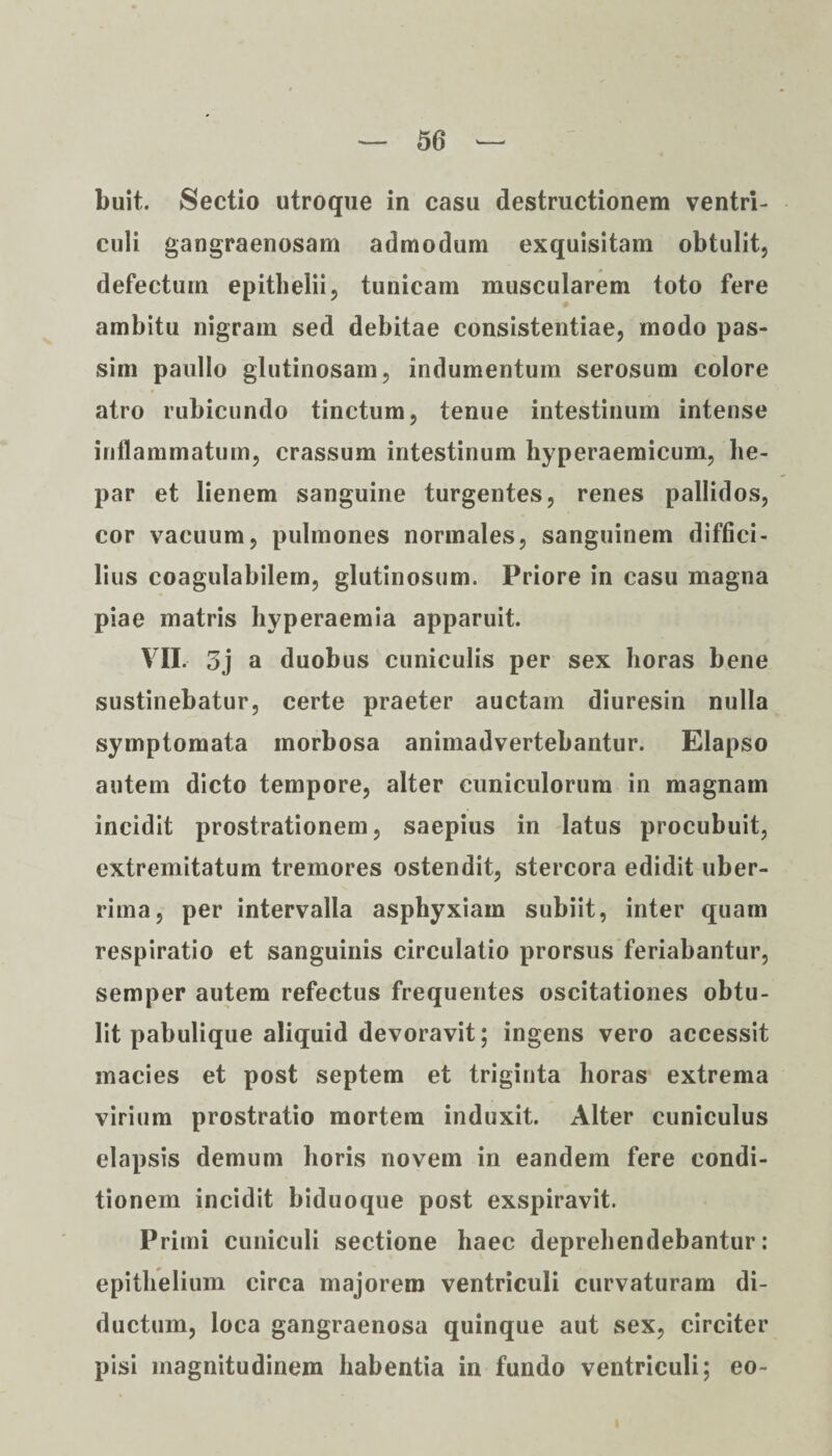 Luit. Sectio utroque in casu destructionem ventri¬ culi gangraenosam admodum exquisitam obtulit, defectum epithelii, tunicam muscularem toto fere ambitu nigram sed debitae consistentiae, modo pas- sim paullo glutinosam, indumentum serosum colore atro rubicundo tinctum, tenue intestinum intense inflammatum, crassum intestinum hyperaemicum, he¬ par et lienem sanguine turgentes, renes pallidos, cor vacuum, pulmones normales, sanguinem diffici¬ lius coagulabilem, glutinosum. Priore in casu magna piae matris hyperaemia apparuit. VII. 3j a duobus cuniculis per sex horas bene sustinebatur, certe praeter auctam diuresin nulla symptomata morbosa animadvertebantur. Elapso autem dicto tempore, alter cuniculorum in magnam incidit prostrationem, saepius in latus procubuit, extremitatum tremores ostendit, stercora edidit uber¬ rima, per intervalla asphyxiam subiit, inter quam respiratio et sanguinis circulatio prorsus feriabantur, semper autem refectus frequentes oscitationes obtu¬ lit pabulique aliquid devoravit; ingens vero accessit macies et post septem et triginta horas extrema virium prostratio mortem induxit. Alter cuniculus elapsis demum horis novem in eandem fere condi¬ tionem incidit biduoque post exspiravit. Primi cuniculi sectione haec deprehendebantur: epithelium circa majorem ventriculi curvaturam di¬ ductum, loca gangraenosa quinque aut sex, circiter pisi magnitudinem habentia in fundo ventriculi; eo-