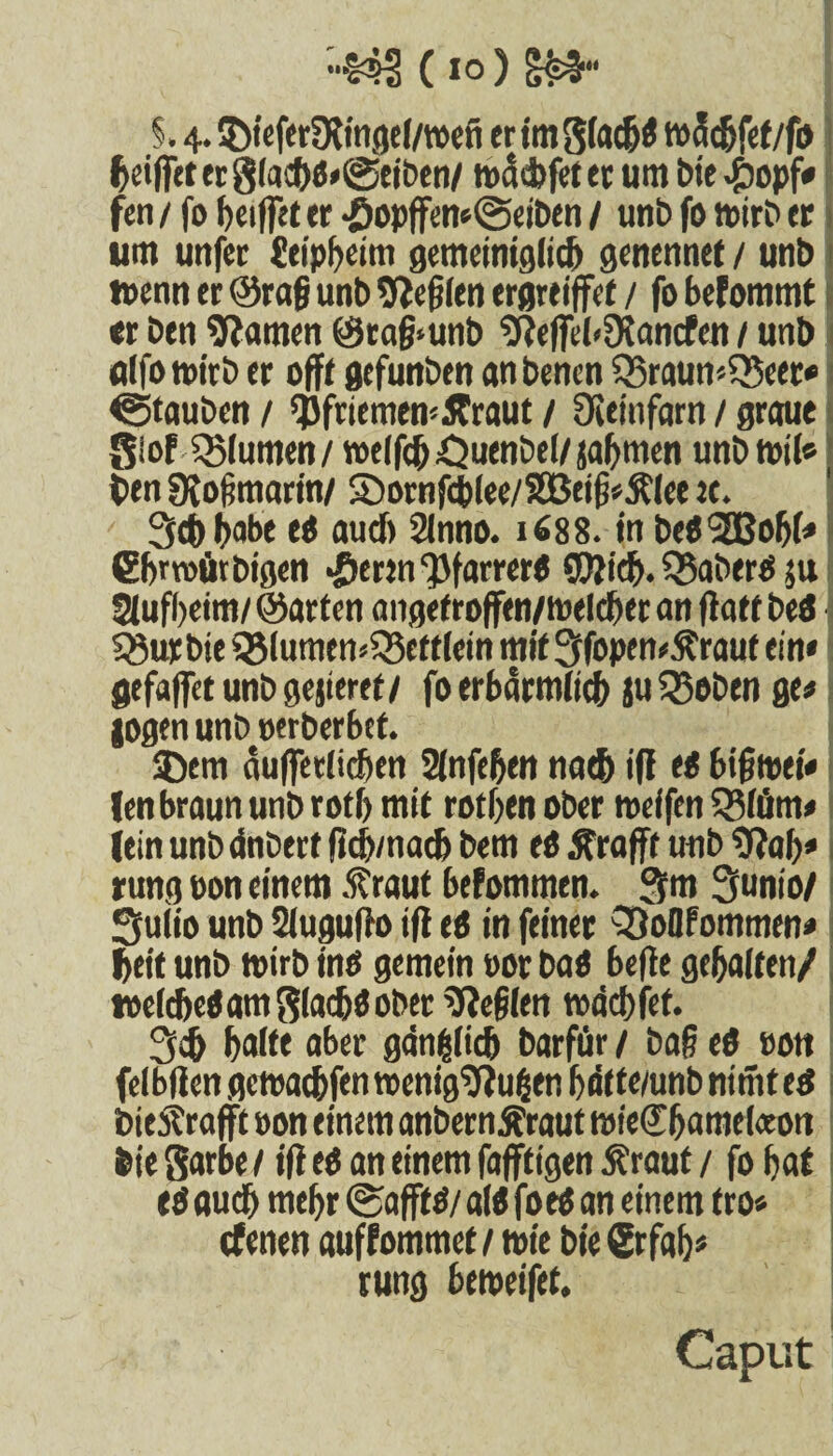 §. 4. ©ieferDlingel/toefi ertmglachö toä<hfet/fi> heiffeter8lacbs*@eiben/ tpciibfetctumbie #opf* fen / fo helfet er •5opffen*@eiben / unbfo ttnrP er um unfer {eipheim gemeiniglich genennet / unb wenn er ©rag unb Regien ergreifet / fo befommt «r ben tarnen ©rafrunb OteffcbDiancfen / unb «Ifotpirb er oft gcfunben anbenen fSraun^eet* ^Stauben / fPfriemen^Äraut / Oieinfarn / graue giof Q5lumen/ tt>elf<h£2ucnbel/jahmen unbtpil« I t>en Ovofmarin/ ©ornfchlee/2Beig*ftlet et. 3c& habe eS auch 2lnno. 1688. in beö'SBobl* Cbroötbigen «öertn^farrerö TO ich. Q3aberö ju Stufheim/ ©arten angetroffen/tpelcheran flatf beö | SSurbie 55lumen<35ett(ein mit 3fopen*$raut ein* gefaffet unb gejieret / fo erbärmlich ju 53eben ge* logen unb perberbct. $)cm äuffedic&en Slnfehen nach ifl <ö biftpet* len braun unb rot(> mit rothen ober tpeffen $8löm* lein unb dnberf fich/nach bem eö ßrafft unb 0?ah* rung pon einem .ftraut befommen. 3m Sfunio/ Sfuleo unb Slugufo if eö in feiner QSoOfommen* heit unb tpirb inö gemein oor baö bef e gehalten/ welches am ftlachö ober Regien roächfef. 3<h halte aber gänzlich barfür / baß eö »on felbf en getpachfen reenigOiußen bäffe/unb nimf eö bieStrafft »on einem anbernÄraut tpieUbamelceon bie Sarbe / if eö an einem fafftigen Äraut / fo hat eö auch mehr ©afffö/ alö fotö an einem tro* cfenen auffommct 1 toie bte Srfah* rung betpeifet. Caput