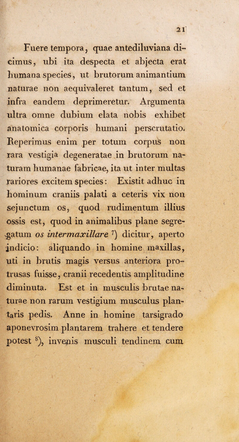 Fuere tempora, quae antediluviana di¬ cimus, ubi ita despecta et abjecta erat humana species, ut brutorum animantium naturae non aequivaleret tantum, sed et infra eandem deprimeretur. Argumenta ultra omne dubium elata nobis exhibet anatomica corporis humani perscrutatio. Reperimus enim per totum corpus non rara vestigia degeneratae vin brutorum na¬ turam humanae fabricae, ita ut inter multas rariores excitem species: Existit adhuc in hominum craniis palati a ceteris vix non sejunctum os, quod rudimentum illius ossis est, quod in animalibus plane segre¬ gatum os intermaxillare 7) dicitur, aperto indicio: aliquando in homine maxillas, uti in brutis magis versus anteriora pro¬ trusas fuisse, cranii recedentis amplitudine diminuta. Est et in musculis brutae na¬ turae non rarum vestigium musculus plan¬ taris pedis. Anne in homine tarsigrado aponevrosim plantarem trahere et tendere potest 8), invenis musculi tendinem cum i