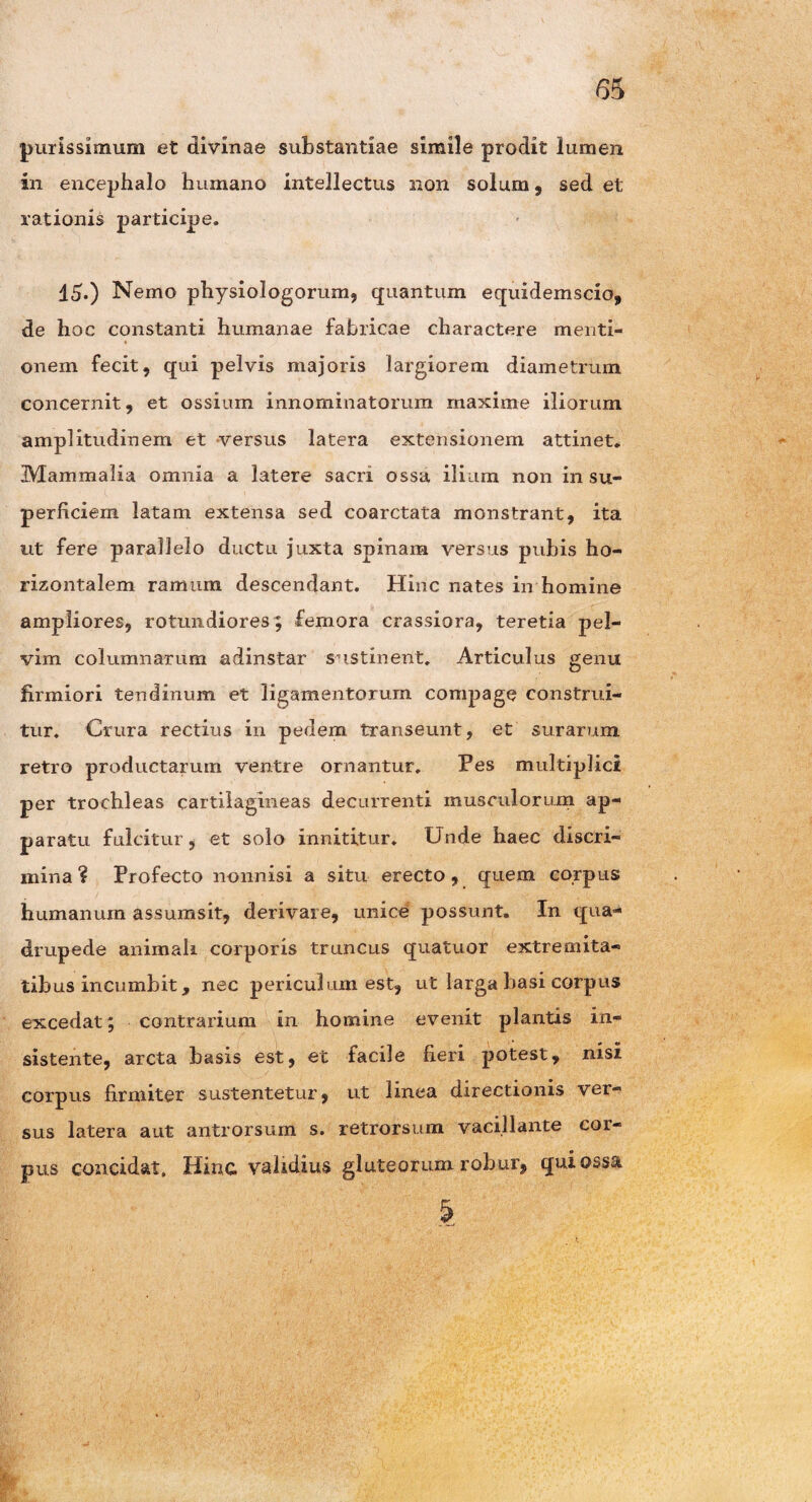 purissimum et divinae substantiae simile prodit lumen in encephalo humano intellectus non solum, sed et rationis participe. 15.) Nemo physiologorum, quantum equidemscio, de hoc constanti humanae fabricae charactere menti¬ onem fecit, qui pelvis majoris largiorem diametrum concernit, et ossium innominatorum maxime iliorum amplitudinem et versus latera extensionem attinet. Mammalia omnia a latere sacri ossa, ilium non in su¬ perficiem latam extensa sed coarctata monstrant, ita ut fere parallelo ductu juxta spinam versus pubis ho¬ rizontalem ramum descendant. Hinc nates in homine ampliores, rotundiores ; femora crassiora, teretia pel¬ vim columnarum adinstar sustinent. Articulus genu firmiori tendinum et ligamentorum compage construi¬ tur. Crura rectius in pedem transeunt, et surarum retro productarum ventre ornantur. Pes multiplici per trochleas cartilagineas decurrenti musculorum ap¬ paratu fulcitur, et solo innititur. Unde haec discri¬ mina ? Profecto nonnisi a situ erecto, quem corpus humanum assumsit, derivare, unice possunt. In qua¬ drupede animali corporis truncus quatuor extremita¬ tibus incumbit, nec periculum est, ut larga basi corpus excedat; contrarium in homine evenit plantis in¬ sistente, arcta basis est, et facile fieri potest, nisi corpus firmiter sustentetur, ut linea directionis ver¬ sus latera aut antrorsum s. retrorsum vacillante cor¬ pus concidat. Hinc validius gluteorum robur, qui ossa §