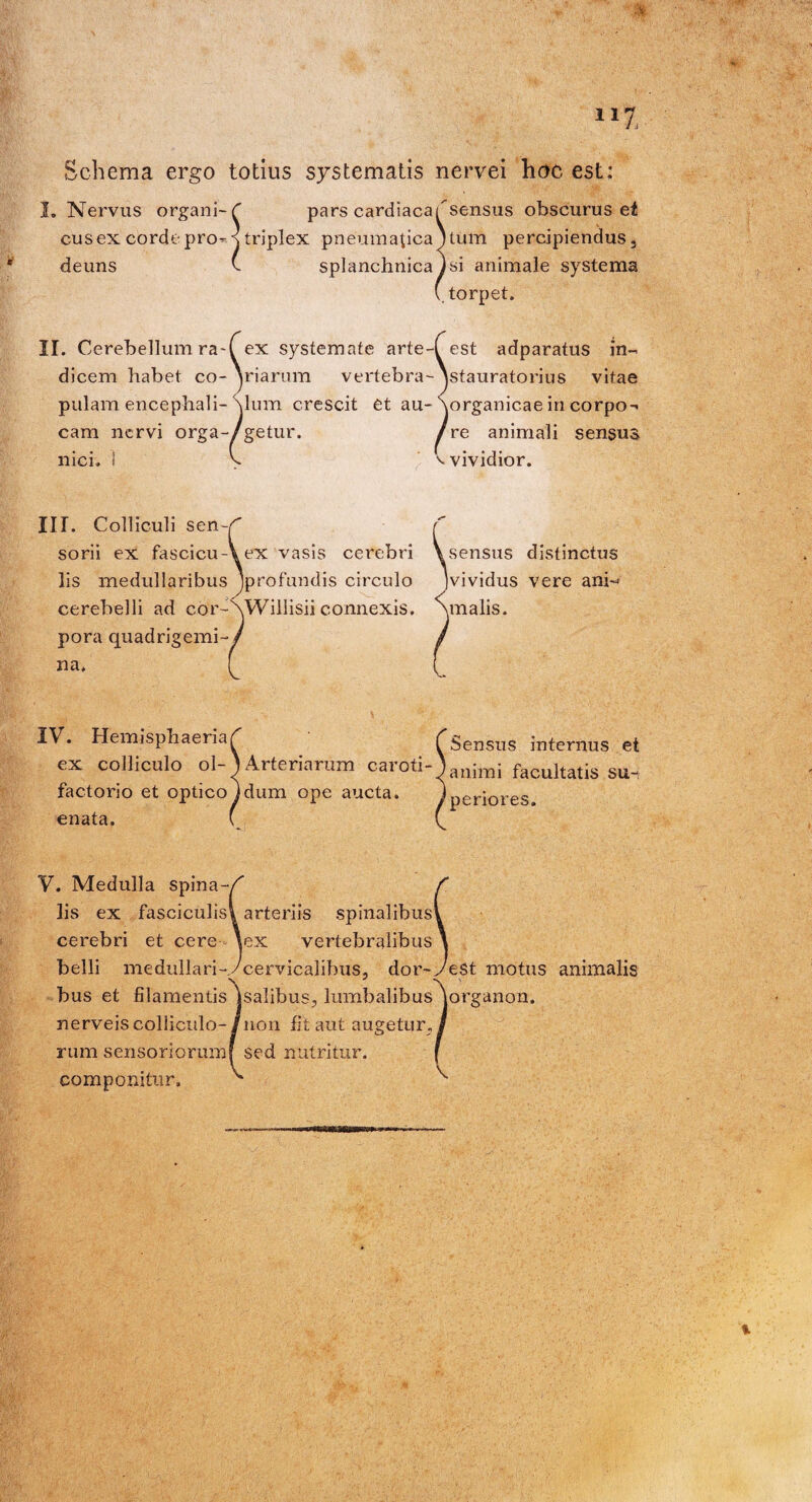 z Schema ergo totius systematis nervei hoc est: I. Nervus organi-f pars cardiaca/'sensus obscurus ei cus ex corde pro^x triplex pneumatica 'tum percipiendus 3 deuns (. splanchnica ) si animale systema (torpet. H. Cerebellum ra-( ex systemate arte-( est adparatus in¬ dicem habet co-Viarum vertebra-- jstauratorius vitae pulam encephali- Sium crescit et au-\organicae in corpo- cam nervi orga-/getur. /re animali sensus nici. I h v vividior. III. Colliculi seiw sorii ex fascicu-Vex vasis cerebri lis medullaribus Jprofundis circulo cerebelli ad cor-SWillisii connexis, pora quadrigemi-; na. V sensus distinctus jvividus vere ani~< \malis. IV. Hemisphaeria/ ex colliculo ol- ^Arteriarum caroti- factorio et optico)dum ope aucta, enata. Sensus internus et 'animi facultatis su¬ periores. V. Medulla spina-/' lis ex fasciculis» arteriis spinalibus! cerebri et cere \ex vertebralibus \ belli medullari-ycervicalibus, dor-yest motus animalis bus et filamentis 'jsaJibus, lumbalibus jorganon. nerveis colliculo-/non fit aut augetur./ rum sensoriorumf sed nutritur. f componitur, ^ ^