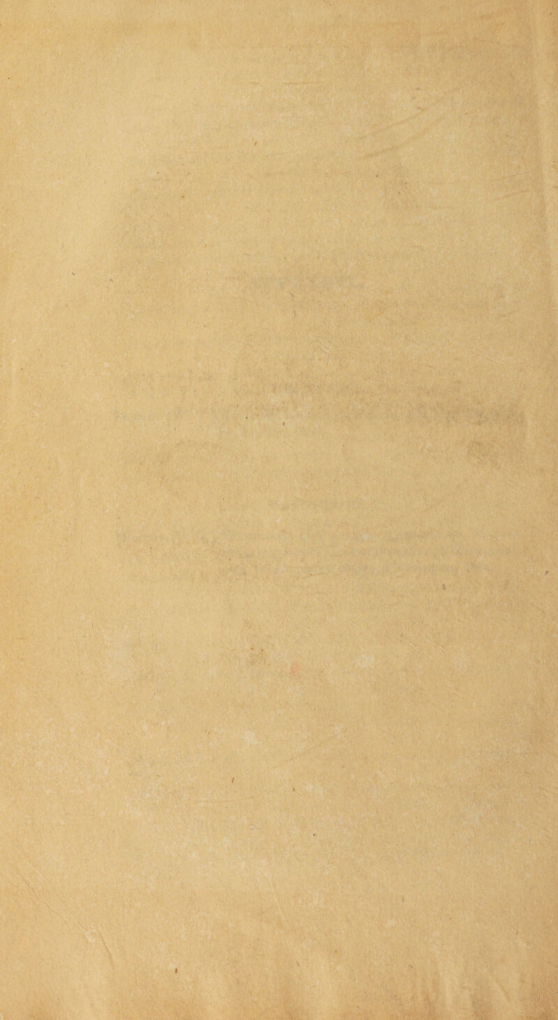 ' V>5,