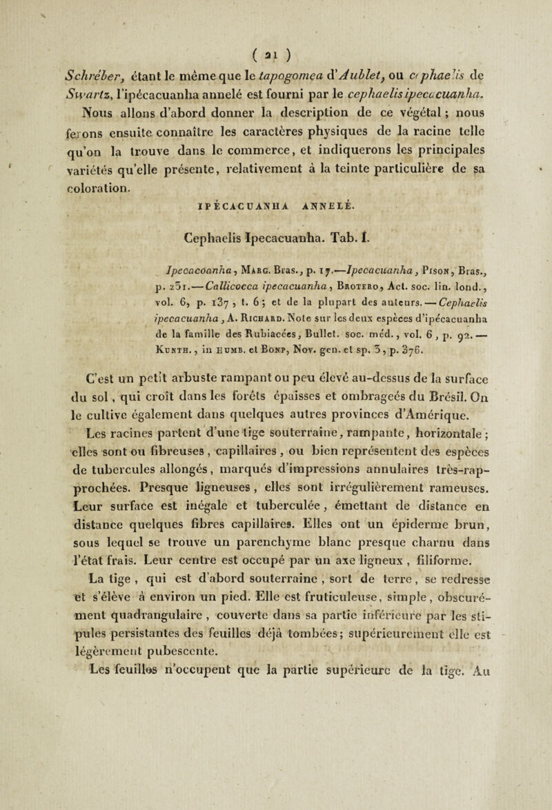 S ch réber, étant le meme que le tapogomea d’Aublety ou C( phaeyis de Swartz, lipécacuanha annelé est fourni par le cephaelis ipécacuanha. Nous allons d’abord donner la description de ce végétal ; nous ferons ensuite connaître les caractères physiques de la racine telle qu’on la trouve dans le commerce, et indiquerons les principales variétés qu’elle présente, relativement à la teinte particulière de sa coloration. I P ÉCAC U AN H A ANNELÉ. Cephaelis Ipecacuanha. Tab. 1. • ■ Ipecacoanha, Marc. Bras., p. 17.—-Ipecacuanha , PrsoN, Bras., p. 20i.— CallicocccL ipecacuanha, Brotero, Act. soc. lin. tond., vol. 6, p. 187, t. 6 ; et de la plupart des auteurs. — Cephaelis ipecacuanha , A. Richard. Note sur les deux espèces d’ipécacuanha de la famille des Rubiacèes, Bullct. soc. méd., vol. 6, p. 92.— Kunth. , in humb. et Bonp, Nov. gen. et sp. 5, p. 876. C’est un petit arbuste rampant ou peu élevé au-dessus de la surface du sol, qui croît dans les forêts épaisses et ombrageés du Brésil. On le cultive également dans quelques autres provinces d’Amérique. Les racines partent d’une lige souterraine, rampante, horizontale; elles sont ou fibreuses, capillaires, ou bien représentent des espèces de tubercules allongés, marqués d’impressions annulaires très-rap- prochées. Presque ligneuses , elles sont irrégulièrement rameuses. Leur surface est inégale et tuberculée, émettant de distance en distance quelques fibres capillaires. Elles ont un épiderme brun, sous lequel se trouve un parenchyme blanc presque charnu dans l’état frais. Leur centre est occupé par un axe ligneux , filiforme. La tige , qui est d’abord souterraine , sort de terre, se redresse et s’élève à environ un pied. Elle est fruticuîeuse, simple, obscuré¬ ment quadrangulaire , couverte dans sa partie inférieure par les sti¬ pules persistantes des feuilles déjà tombées; supérieurement elle est légèrement pubescente. Les feuilles n’occupent que la partie supérieure de la tige. Au