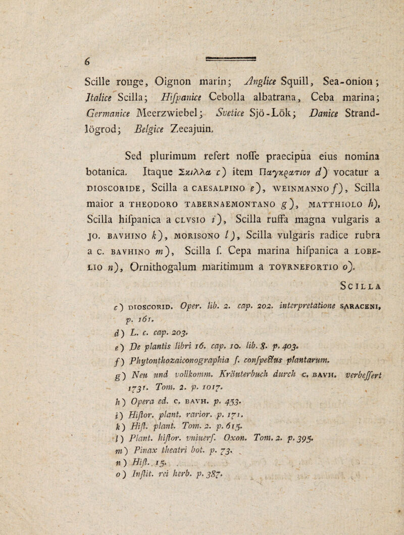 Scille rouge, Oignon marin; Anglice S quili, Sea-onion; Italice Scilla; Hifpctnice Cebolla albatrana3 Ceba marina; Germanice Meerzwiebel; Svetice Sjo-Lok; Danice Strand- logrod; Belgice Zeeajuim Sed plurimum refert noffe praecipua eius nomina botanica. Itaque 'ItuXXcl c) item Ucty^ariov d) vocatur a DIOSCORIDE, Scilla a CAESALPINO ^), AVE IN MANNO f) , Stilla maior a theodgro tabernaemontano g)5 matthiolo h), Scilla hifpanica a clvsio z), Scilla ruffa magna yulgaris a jo. bavhino £), morisono /), Scilla vulgaris radice rubra a c. bavhino m'), Scilla f. Cepa marina hifpanica a lobe- lxo n)y Ornithogalura maritimum a tovrnefortio o). Scilla c} dioscorid. Oper. lib. 2. cap. 202, interpretatione saraceni, p. i6r, d ) L. c. cap. 203* g) De plantis libri 16. cap, jo. lib. 8. p, 403* f ) Phyton thozaiconographia f. confpeffius plantarum, g~) Neu und vollkomm. Krciuterbuch durch cf bavh» verb effert 133 r. Tom, 2. p, TO/f, ^) Opera c. bavh. p. 453, i) Hiflor, piant, rarior, p. ipi. k') Hifl. piant. Tom. 2. p. 613. |) Piant, hiflor. vniuerf. Oxon. Tom, 2. p. 395. m') Pinax theatri bot. p. py. n ) Hift., 15. i?) Inflit. rei herb. p, 38?*