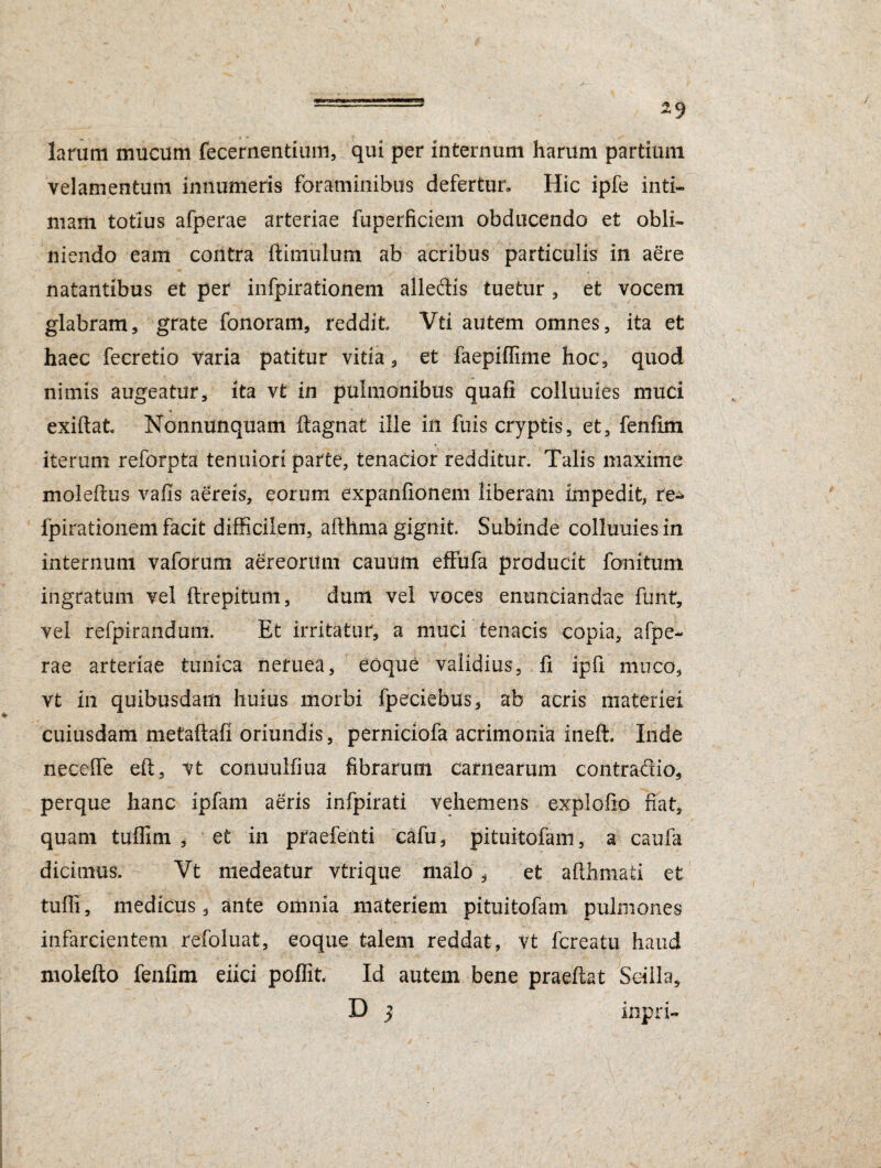 larum mucum fecernentium, qui per internum harum partium velamentum innumeris foraminibus defertur» Hic ipfe inti¬ mam totius afperae arteriae fuperficiem obducendo et obli¬ niendo eam contra {limulum ab acribus particulis in aere natantibus et per infpirationem alledis tuetur , et vocem glabram, grate fonoram, reddit Vti autem omnes, ita et haec fecretio varia patitur vitia, et faepiflime hoc, quod nimis augeatur, ita vt in pulmonibus quafi colluuies muci exiftat Nonnunquam ftagnat ille in fuis cryptis, et, fenfim iterum reforpta tenuiori parte, tenacior redditur. Talis maxime moleflus vafis aereis, eorum expanfionem liberam impedit, re^ fpirationem facit difficilem, afthma gignit. Subinde colluuies in internum vaforum aereorum cauum effufa producit fonitum ingratum vel ftrepitum, dum vel voces enuntiandae funt, vel refpirandum. Et irritatur, a muci tenacis copia, afpe¬ rae arteriae tunica nefuea, Coque validius, fi ipfi muco, vt in quibusdam huius morbi fpeciebus, ab acris materiei cuiusdam metaftafi oriundis, perniciofa acrimonia inefh Inde neceffe efi, vt conuulfiua fibrarum carnearum contradic, perque hanc ipfam aeris infpirati vehemens explofio fiat, quam tuflim , et in pfaefeilti cafu, pituitofam, a caufa dicimus. Vt medeatur vtrique malo , et afthmati et tuffi, medicus, ante omnia materiem pituitofam pulmones infarcientem refoluat, eoque talem reddat, vt fcreatu haud molefto fenfim eiici poflit. Id autem bene praeftat Scilla, D 5 inpri-