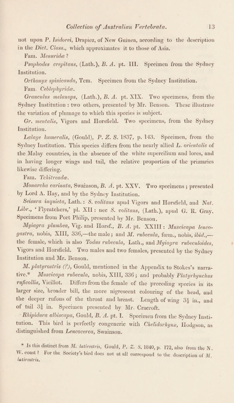 not upon P. Isiclorei, Drapiez, of New Guinea, according to the description in the Diet. Class., which approximates it to those of Asia. Fam. Menuridce ? Psophodes crepitans, (Lath.), B. A. pt. III. Specimen from the Sydney Institution. Orthonyx spinicauda, Tem. Specimen from the Sydney Institution. Fam. Ceblephyridce. Grauculus melanops, (Lath.), B. A. pt. XIX. Two specimens, from the Sydney Institution : two others, presented by Mr. Benson. These illustrate the variation of plumage to which this species is subject. Gr. mentalis, Vigors and Horstield. Two specimens, from the Sydney Institution. Lalage liumeralis, (Gould), P. Z. S. 1837, p. 143. Specimen, from the Sydney Institution. This species differs from the nearly allied L. orientalis of the Malay countries, in the absence of the white supercilium and lores, and in having longer wings and tail, the relative proportion of the primaries likewise differing. Fam. Tchitreadce. Monarcha carinata, Swainson, B. A. pt. XXV. Two specimens ; presented by Lord A. Hay, and by the Sydney Institution. Seisura inquiet a, Lath. : S. volitans apud Vigors and Horsfield, and Nat. Libr., ‘ Flycatchers,’ pi. XII: nec S. volitans, (Lath.), apud G. R. Gray. Specimens from Port Philip, presented by Mr. Benson. Myiagra plumbea, Vig. and Horsf., B. A. pt. XXIII : Muscicapa leuco- gastra, nobis, XIII, 336,—the male; and M. rubecula, foem., nobis, ibid.,—- the female, which is also Todus rubecula, Lath., and Myiagra rubeculoides, Vigors and Horsfield. Two males and two females, presented by the Sydney Institution and Mr. Benson. M. platyrostris (?), Gould, mentioned in the Appendix to Stokes’s narra¬ tive * Muscicapa rubecula, nobis, XIII, 336; and probably Platyrhynchus ruficollis, Vieillot. Dufers from the female of the preceding species in its larger size, broader bill, the more nigrescent colouring of the head, and the deeper rufous of the throat and breast. Length of wing 3^ in., and of tail 3£ in. Specimen presented by Mr, Cracroft. Rhipidura albiscapa, Gould, B. A. pt. I. Specimen from the Sydney Insti¬ tution. This bird is perfectly congeneric with Chelidorhynx, Hodgson, as distinguished from Leucocerca, Swainson. * Is this distinct from M. latirostris, Gould, P. Z. S. 1840, p. 172, also from the N. W. coast? lor the Society’s bird does not at all correspond to the description of M. latirostris.