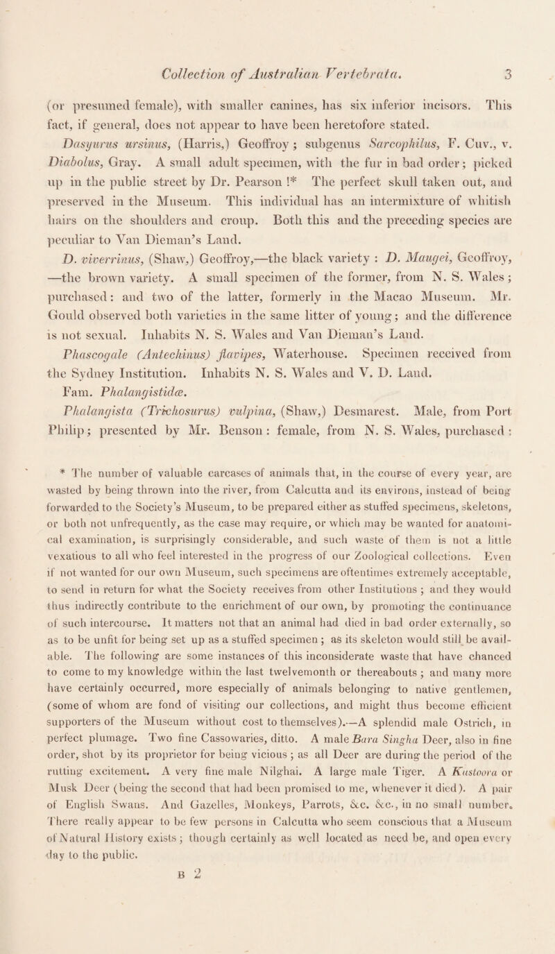 (or presumed female), with smaller canines, has six inferior incisors. This fact, if general, does not appear to have been heretofore stated. Dasyurus ursinus, (Harris,) Geoffroy ; subgenus Sarcophilus, F. Cuv., v. Diabolus, Gray. A small adult specimen, with the fur in bad order; picked up in the public street by Dr. Pearson !* The perfect skull taken out, and preserved in the Museum. This individual has an intermixture of whitish hairs on the shoulders and croup. Both this and the preceding species are peculiar to Van Dieman’s Land. D. viverrinus, (Shaw,) Geoffroy,—the black variety : D. Maugei, Geoffroy, —the brown variety. A small specimen of the former, from N. S. Wales ; purchased: and two of the latter, formerly in the Macao Museum. Mr. Gould observed both varieties in the same litter of young; and the difference is not sexual. Inhabits N. S. Wales and Van Dieman’s Land. Phascogale (AntechinusJ flavipes, Waterhouse. Specimen received from the Sydney Institution. Inhabits N. S. Wales and V. D. Land. Fam. Phalangistidce. Phalangista (Trichosurus) vulpina, (Shaw,) Desmarest. Male, from Port Philip; presented by Mr. Benson: female, from N. S. Wales, purchased : * The number of valuable carcases of animals that, in the course of every year, are wasted by being thrown into the river, from Calcutta and its environs, instead of being forwarded to the Society’s Museum, to be prepared either as stuffed specimens, skeletons, or both not unfrequently, as the case may require, or which may be wanted for anatomi¬ cal examination, is surprisingly considerable, and such waste of them is not a little vexatious to all who feel interested in the progress of our Zoological collections. Even if not wanted for our own Museum, such specimens are oftentimes extremely acceptable, to send in return for what the Society receives from other Institutions ; and they would thus indirectly contribute to the enrichment of our own, by promoting the continuance of such intercourse. It matters not that an animal had died in bad order externally, so as to be unlit for being set up as a stuffed specimen ; as its skeleton would still be avail¬ able. The following are some instances of this inconsiderate waste that have chanced to come to my knowledge within the last twelvemonth or thereabouts ; and many more have certainly occurred, more especially of animals belonging to native gentlemen, (some of whom are fond of visiting our collections, and might thus become efficient supporters of the Museum without cost to themselves).—A splendid male Ostrich, in perfect plumage. Two fine Cassowaries, ditto. A male .Bara Singha Deer, also in fine order, shot by its proprietor for being vicious ; as all Deer are during the period of the rutting excitement. Avery fine male Nilghai. A large male Tiger. A Kustoora or Musk Deer (being the second that had been promised to me, whenever it died). A pair of English Swans. And Gazelles, Monkeys, Parrots, Ac. &c., in no small number. There really appear to be few persons in Calcutta who seem conscious that a Museum of Natural History exists; though certainly as well located as need be, and open every day to the public. B 2