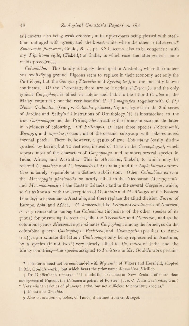 tail coverts also being weak crimson, in its upper-parts being glossed with steel- blue untinged with green, and the breast white where the other is fulvescent.* * * § Smicrornis jlavescens, Gould, B. A. pt. XXI, seems also to be congeneric with my Piprisoma agile, (Tickell,) of India, in which case the latter generic name yields precedence. Columbidee. This family is largely developed in Australia, where the numer¬ ous swift-flying ground Pigeons seem to replace in their economy not only the Partridges, but the Gangas (Pterocles and Syrrliaptes), of the anciently known continents. Of the Treronincs, there are no Hurrials (Treron): and the only typical Carpophoga is allied in colour and habit to the littoral C. alba of the Malay countries ; but the very beautiful C. (?) magnified, together with C. (?) Novae Zealandice, (Gm., v. Colurnba princeps, Vigors, figured in the 2nd series of Jardine and Selby’s ‘ Illustrations of Ornithology,’f) is intermediate to the true Carpophagee and the Ptilinopodes, rivalling the former in size and the latter in vividness of colouring. Of Ptilinopus, at least three species (Sivainsonii, Ewingii, and superbus,) occur, all of the oceanic subgroup with lake-coloured coronal patch. There is, however, a genus of true Columbines (easily distin¬ guished by having but 12 rectrices, instead of 14 as in the Carpophagce), which repeats most of the characters of Carpophaga, and numbers several species in India, Africa, and Australia. This is Alsocomus, Tickell, to which may be referred C. spadicea and C. leucomela of Australia ; and the Lopholaimus an tare- ticus is barely separable as a distinct subdivision. Other Columbines exist in the Macropygia phasianella, so nearly allied to the Nicobarian M. rufipennis, and M. amboinensis of the Eastern Islands; and in the several Geopelice, which, so far as known, with the exceptions of G. striata and G. Maugei of the Eastern Islands,§ are peculiar to Australia, and there replace the allied division Turtur of Europe, Asia, and Africa. G. humeralis, like Ectopistes carolinensis of America, is very remarkable among the Columbinoe (inclusive of the other species of its genus) for possessing 14 rectrices, like the Treronince and Gourince: and as the columbine genus Alsocomus approximates Carpophaga among the former, so do the columbine genera Chalcophaps, Peristera, and Chamcepelia (peculiar to Ame- riraf), approximate the latter; Chalcophaps only being represented in Australia, by a species (if not two?) very closely allied to Ch. indiea of India and the Malay countries,—the species assigned to Peristera in Mr. Gould’s work pertain- * This form must not be confounded with Myzaniha of Vigors and TIorsfield, adopted in Mr. Gould’s work ; but which bears the prior name Manorhina, Vieillot. f Dr. Dieffenbach remarks—“I doubt the existence in New Zealand of more than one species of Pigeon, the Columba argetrcea of Forster” (i. e. C. Novae Zealandice, Gm.) “ Very slight varieties of plumage exist, but not sufficient to constitute species.” X If not also Zenaida. § Also C. ulbiveutris, nobis, of Timor, if distinct from G. Maugei.