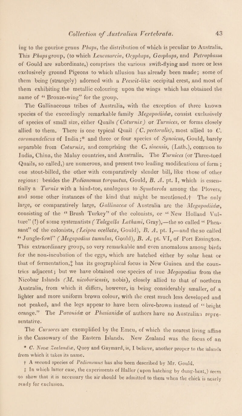 ing to the gourine genus Phaps, the distribution of which is peculiar to Australia. This Phaps group, (to which Leucosarcia, Ocyphaps, Geophaps, and Petrophassa of Gould are subordinate,) comprises the various swift-flying and more or less exclusively ground Pigeons to which allusion has already been made; some of them being (strangely) adorned with a Peewit-like occipital crest, and most of them exhibiting the metallic colouring upon the wings which has obtained the name of “ Bronze-wing” for the group. The Gallinaceous tribes of Australia, with the exception of three known species of the exceedingly remarkable family Megapodiidoe, consist exclusively of species of small size, either Quails (Coturnix) or Turnices, or forms closely allied to them. There is one typical Quail (C. pectoralis), most allied to C. coromandelicus of India;* and three or four species of Synoicus, Gould, barely separable from Coturnix, and comprising the C. sinensis, (Lath.), common to India, China, the Malay countries, and Australia. The Turnices (or Three-toed Quails, so called,) are numerous, and present two leading modifications of form ; one stout-billed, the other with comparatively slender bill, like those of other regions: besides the Pedionomus torquatus, Gould, B. A. pt. I, which is essen¬ tially a Tmoiix with a hind-toe, analogous to Squatarola among the Plovers, and some other instances of the kind that might be mentioned.f The only large, or comparatively large, Gallinacea of Australia are the Megapodiidoe, consisting of the “ Brush Turkey” of the colonists, or “ New Holland Vul¬ ture” (!) of some systematists (Talegalla Lathami, Gray),—the so called u Phea¬ sant” of the colonists, (Leipoa ocellata, Gould), B. A. pt. I,—and the so called 14 Jungle-fowl” (Megapodius tumulus, Gould), B. A. pt. VI, of Port Essington. This extraordinary group, so very remarkable and even anomalous among birds for the non-incubation of the eggs, which are hatched either by solar heat or that of fermentation,^; has its geographical focus in New Guinea and the coun« tries adjacent; but we have obtained one species of true Megapodius from the Nicobar Islands (M. nicobariensis, nobis), closely allied to that of northern Australia, from which it differs, however, in being considerably smaller, of a lighter and more uniform brown colour, with the crest much less developed and not peaked, and the legs appear to have been olive-brown instead of “ bright orange.” The Pavonidcs or Phasianidce of authors have no Australian repre¬ sentative. The Cursores are exemplified by the Emeu, of which the nearest living affine is the Cassowary of the Eastern Islands. New Zealand was the focus of an * C. Novcc Zealand'nz, Quoy and Gaymard,is, I believe, another proper to the islands from which it takes its name. t A second species of Pedionomus has also been described by Mr. Gould. $ In which latter case, the experiments of Haller (upon hatching- by dung-heat,) seem to show that it is necessary the air should be admitted to them when the chick is nearly ready for exclusion.