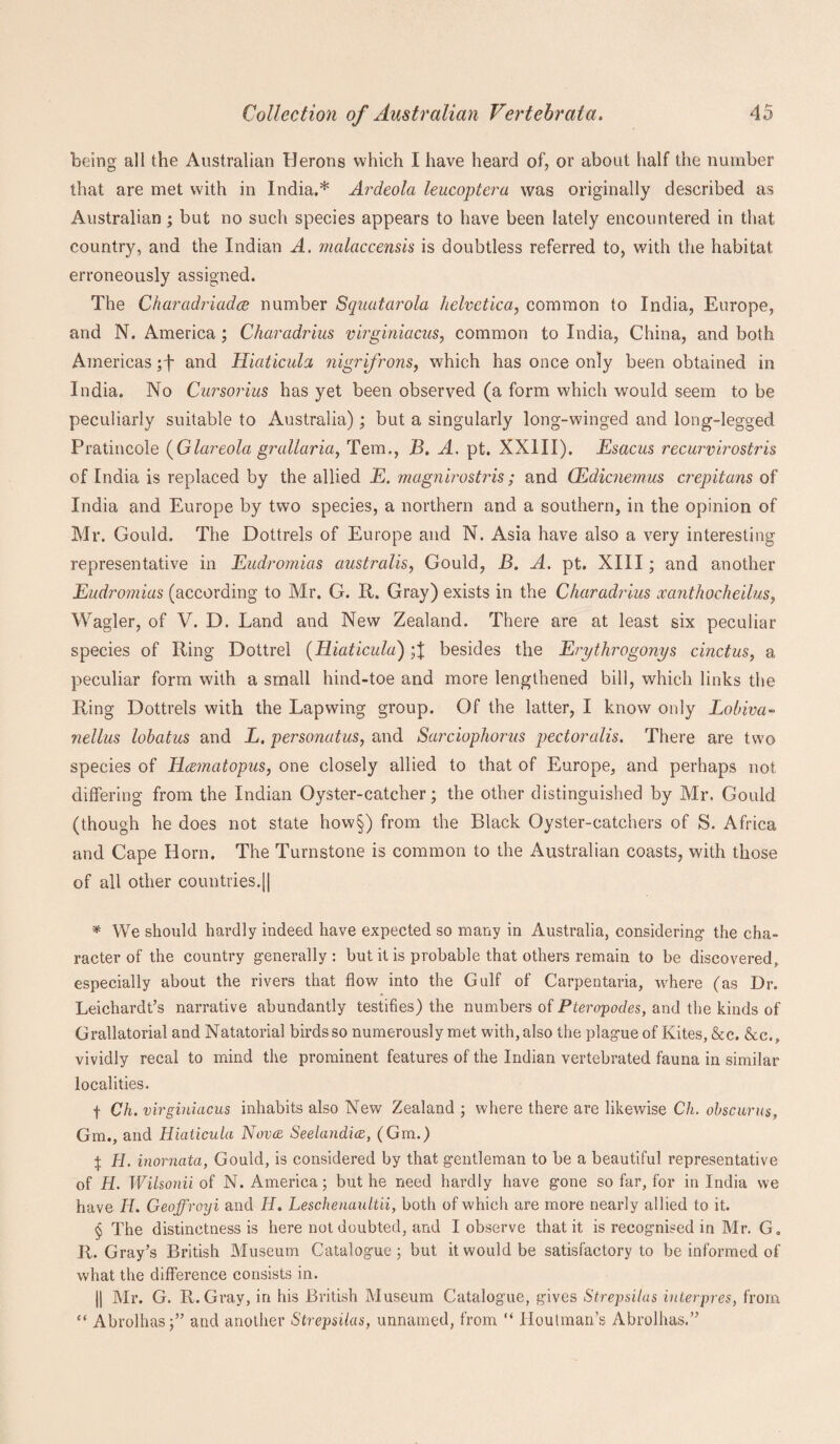 being all the Australian Herons which I have heard of, or about half the number that are met with in India.* * * § Ardeola leucoptera was originally described as Australian ; but no such species appears to have been lately encountered in that country, and the Indian A. malaccensis is doubtless referred to, with the habitat erroneously assigned. The Charadriadce number Squatarola Helvetica, common to India, Europe, and N. America; Charadrius virginiacus, common to India, China, and both Americas ;f and Hiaticula nigrfrons, which has once only been obtained in India. No Cursorius has yet been observed (a form which would seem to be peculiarly suitable to Australia); but a singularly long-winged and long-legged Pratincole {Glareola grallaria, Tern., B. A. pt. XXIII). Esacus recurvirostris of India is replaced by the allied E. magnirostris; and (Edicnemus crepitans of India and Europe by two species, a northern and a southern, in the opinion of Mr. Gould. The Dottrels of Europe and N. Asia have also a very interesting representative in Eudromias australis, Gould, B. A. pt. XIII; and another Eudromias (according to Mr. G. R. Gray) exists in the Charadrius xanthocheilus, Wagler, of V. D. Land and New Zealand. There are at least six peculiar species of Ring Dottrel (Hiaticula) besides the Erythrogonys cinctus, a peculiar form with a small hind-toe and more lengthened bill, which links the Ring Dottrels with the Lapwing group. Of the latter, I know only Lobiva- nellus lobatus and L. personatus, and Sarciophorns pectoralis. There are two species of Erzmatopus, one closely allied to that of Europe, and perhaps not differing from the Indian Oyster-catcher; the other distinguished by Mr. Gould (though he does not state how§) from the Black Oyster-catchers of S. Africa and Cape Horn. The Turnstone is common to the Australian coasts, with those of all other countries.|| * We should hardly indeed have expected so many in Australia, considering1 the cha¬ racter of the country generally: but it is probable that others remain to be discovered, especially about the rivers that flow into the Gulf of Carpentaria, where (as Dr. Leichardt’s narrative abundantly testifies) the numbers of Pteropodes, and the kinds of Grallatorial and Natatorial birds so numerously met with, also the plague of Kites,&c. &c., vividly recal to mind the prominent features of the Indian vertebrated fauna in similar localities. f Ch. virginiacus inhabits also New Zealand ; where there are likewise Ch. obscurus, Gm., and Hiaticula Nova Seelandicc, (Gm.) j H. inornata, Gould, is considered by that gentleman to be a beautiful representative of H. Wilsonii of N. America; but he need hardly have gone so far, for in India we have Id. Geoffroyi and II. Leschenaultii, both of which are more nearly allied to it. § The distinctness is here not doubted, and I observe that it is recognised in Mr. G„ R. Gray’s British Museum Catalogue ; but it would be satisfactory to be informed of what the difference consists in. j| Mr. G. R. Gray, in his British Museum Catalogue, gives Strepsilas inter pres, from “ Abrolhas;” and another Strepsilas, unnamed, from “ Houtman’s Abrolhas.”