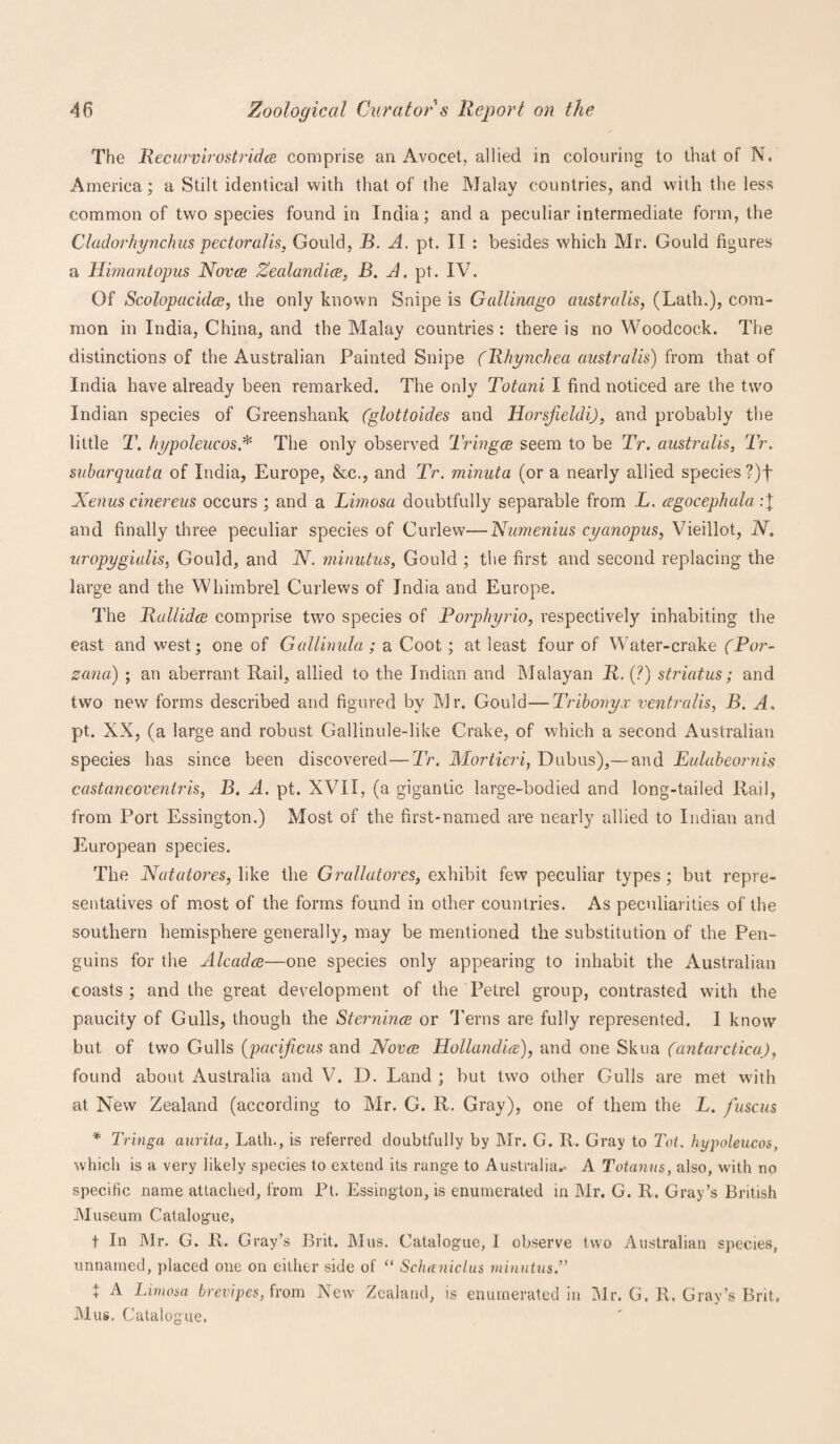 The Recurvirostridce comprise an Avocet, allied in colouring to that of N. America; a Stilt identical with that of the Malay countries, and with the less common of two species found in India; and a peculiar intermediate form, the Cladorhynchus pectoralis, Gould, B. A. pt. II : besides which Mr. Gould figures a Himantopus Novce Zealand ice, B. A. pt. IV. Of Scolopacidce, the only known Snipe is Gallinago australis, (Lath.), com¬ mon in India, China, and the Malay countries : there is no Woodcock. The distinctions of the Australian Painted Snipe (Rhynchea australis) from that of India have already been remarked. The only Totani I find noticed are the two Indian species of Greenshank (glottoides and Horsjieldi), and probably the little T. hypoleucos* The only observed Tringce seem to be Tr. australis, Tr. subarquata of India, Europe, &c., and Tr. minuta (or a nearly allied species ?)f Xenus cinereus occurs ; and a Limosa doubtfully separable from L. cegocephala and finally three peculiar species of Curlew—Numenius cyctnopus, Vieillot, N. uropygialis, Gould, and N. minutus, Gould ; the first and second replacing the large and the Whimbrel Curlews of India and Europe. The Rallidce comprise two species of Porphyrio, respectively inhabiting the east and west; one of Gallinula ; a Coot; at least four of Water-crake (Por- zana) ; an aberrant Rail, allied to the Indian and Malayan R. (?) striatus; and two new forms described and figured by Mr. Gould—Tribonyx ventralis, B. A. pt. XX, (a large and robust Gallinule-like Crake, of which a second Australian species has since been discovered—Tr. Mortieri, Dubus),— and Eulabeornis castaneoventris, B. A. pt. XVII, (a gigantic large-bodied and long-tailed Rail, from Port Essington.) Most of the first-named are nearly allied to Indian and European species. The Natatores, like the Grallatores, exhibit few peculiar types ; but repre¬ sentatives of most of the forms found in other countries. As peculiarities of the southern hemisphere generally, may be mentioned the substitution of the Pen¬ guins for the Alcadce—one species only appearing to inhabit the Australian coasts ; and the great development of the Petrel group, contrasted with the paucity of Gulls, though the Sternince or Terns are fully represented. I know but of two Gulls (pacificus and Novce Hollandice), and one Skua (antarctica), found about Australia and V. D. Land ; but two other Gulls are met with at New Zealand (according to Mr. G. R. Gray), one of them the L. fuscus * Tringa aarita, Lath., is referred doubtfully by Mr. G. R. Gray to Tot. hypoleucos, which is a very likely species to extend its range to Australia.- A Totanus, also, with no specific name attached, from Pt. Essington, is enumerated in Mr. G. R. Gray’s British Museum Catalogue, t In Mr. G. R. Gray’s Brit. Mus. Catalogue, I observe two Australian species, unnamed, placed one on either side of “ Schaniclus minutus.” + A Limosa brevipes, from New Zealand, is enumerated in Mr. G. R. Gray’s Brit. Mus. Catalogue.